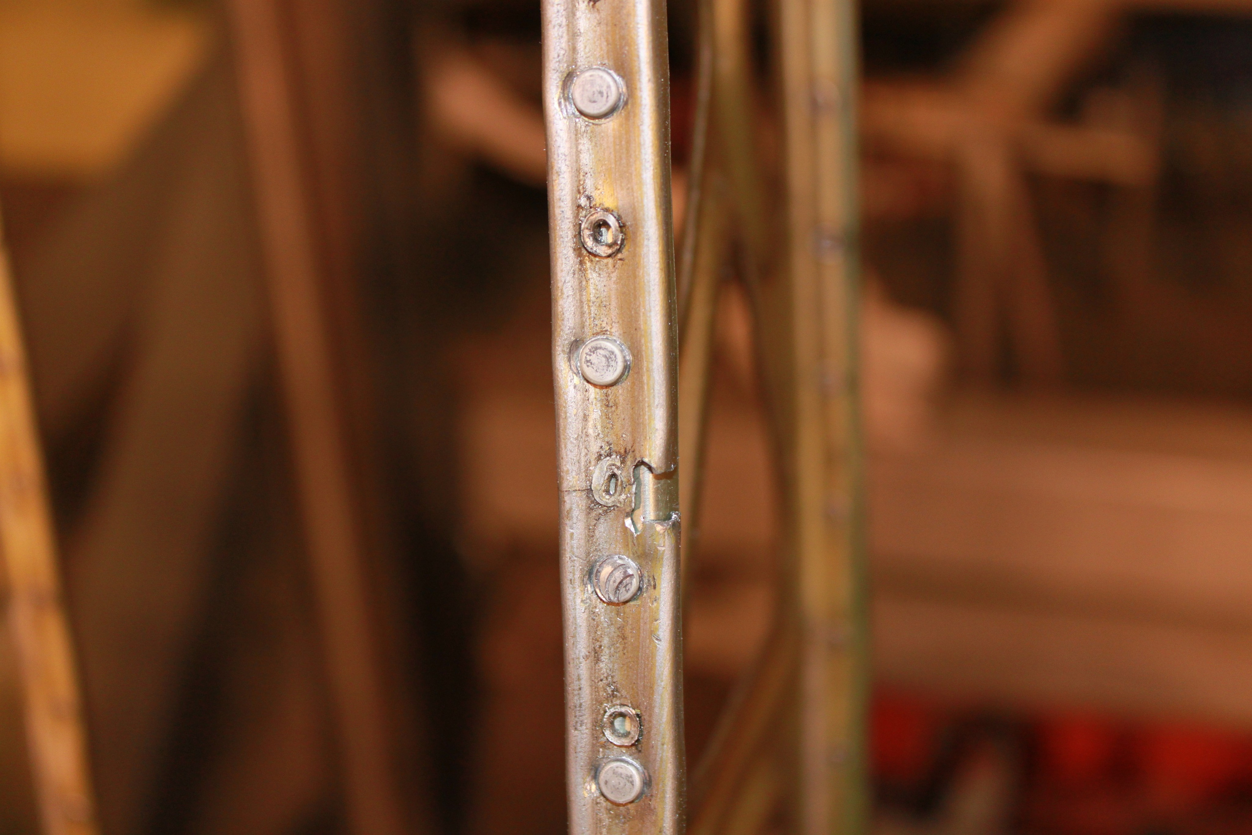 Ил-14Т «Голубая Мечта» работы в Тушино (2011 г.). Фотоальбом показывающий увлекательный мир авиации и мир медведей Андрея Иванова