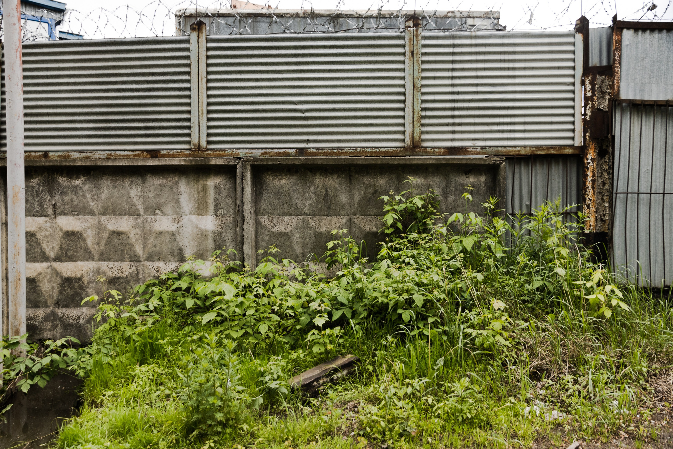 Открытый мир. DASHA KALNINA