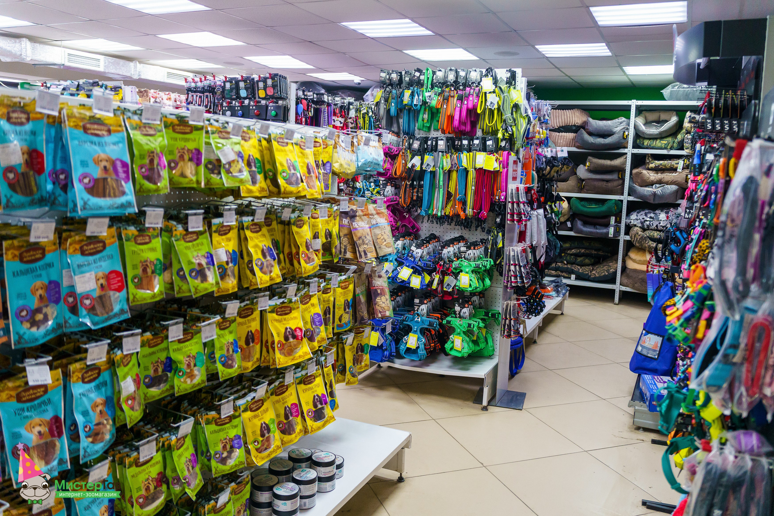 Мистер Гав -13 лет!. Фотограф Челябинск · Ольга Серебрякова