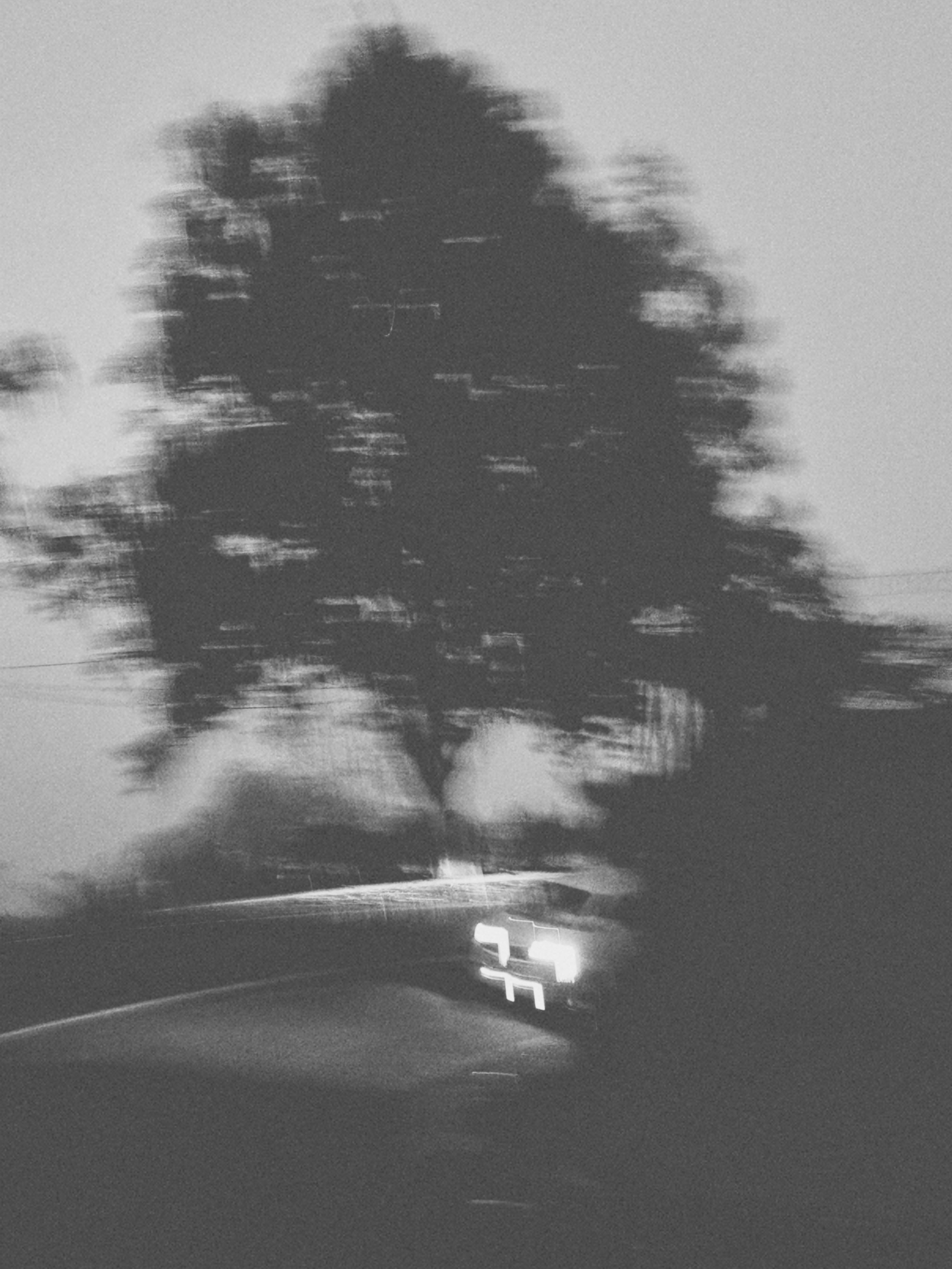 Виолетта Скрипка