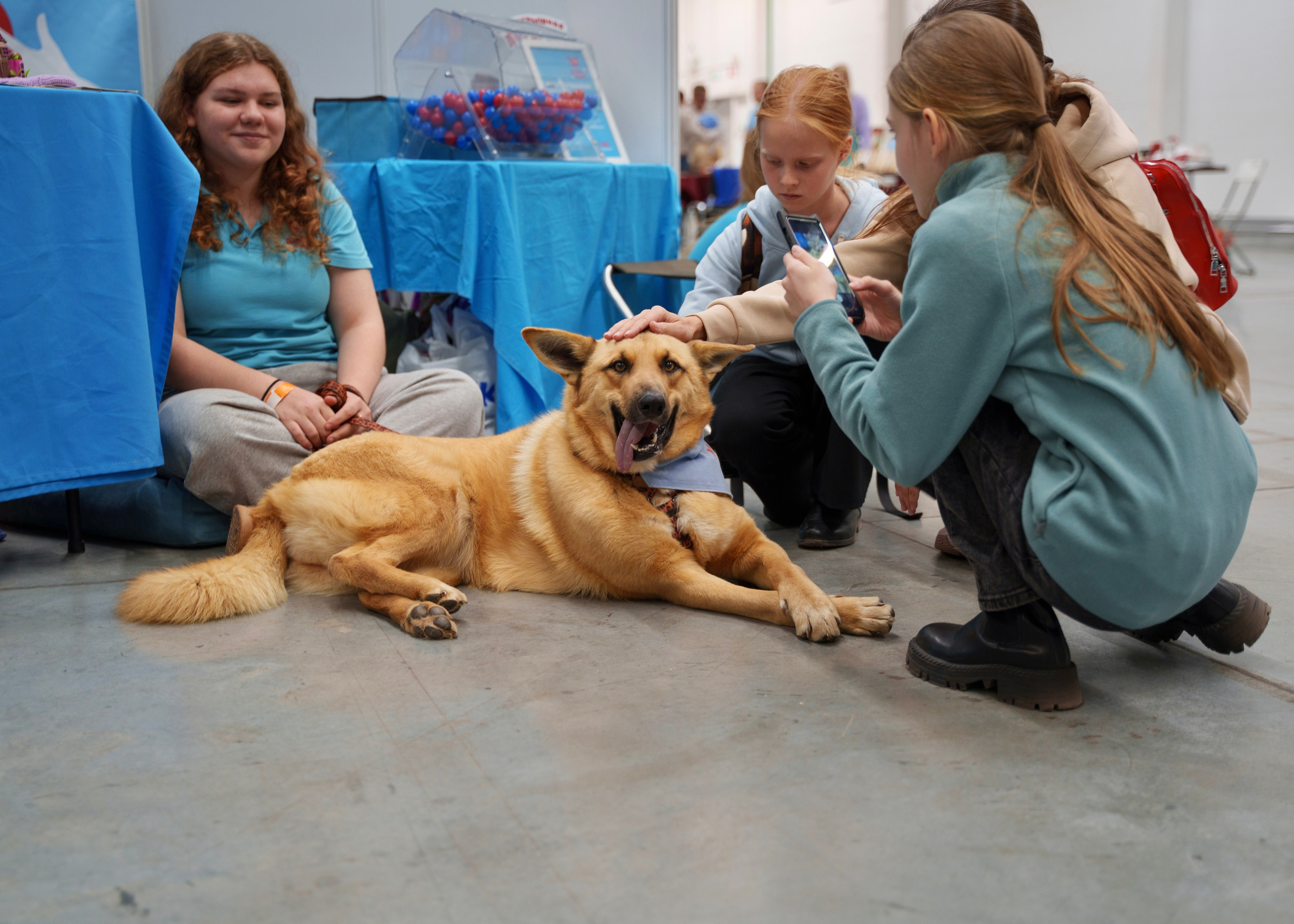 Репортажная съемка. Главная