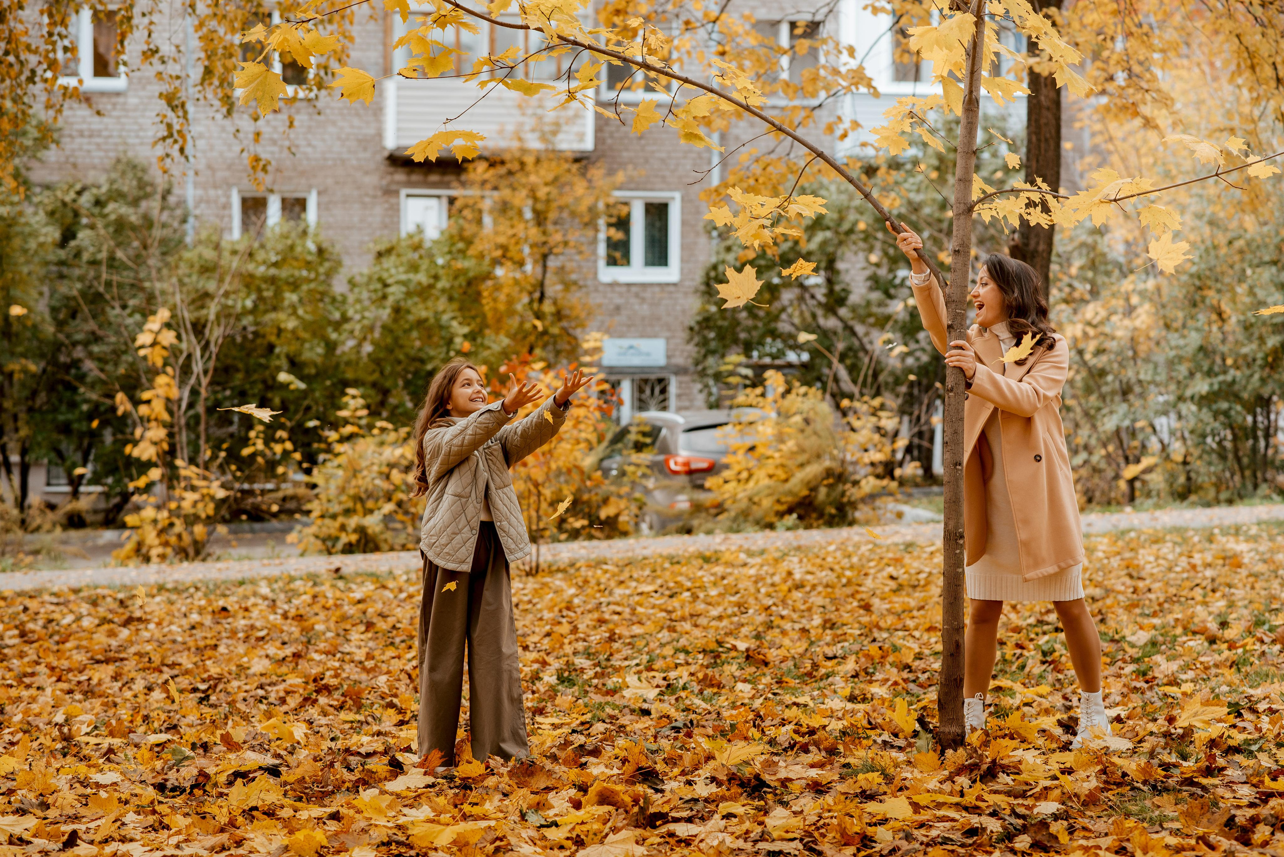 Поздняя осень 2022. Фотограф Екатерина Шереметова Ижевск Сарапул Воткинск