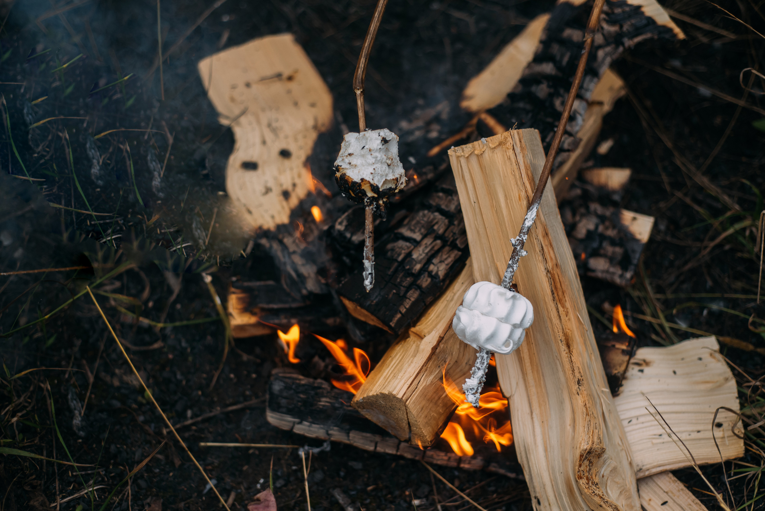 ПРОЕКТ «ШАЛАШ В ЛЕСУ». Семейный и детский фотограф в Тейково