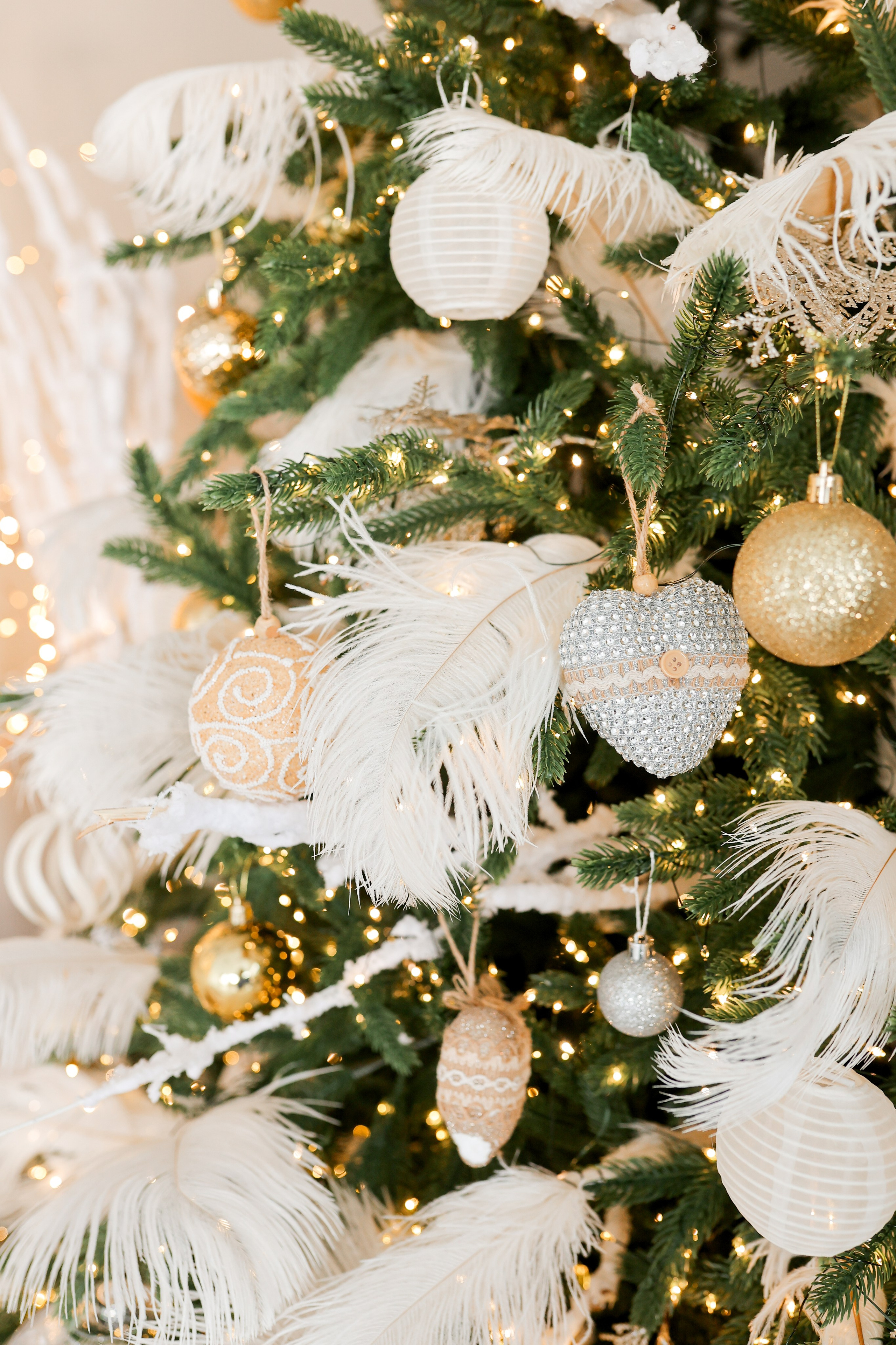 Циклорама. Фотостудия Фотодом. Якутск