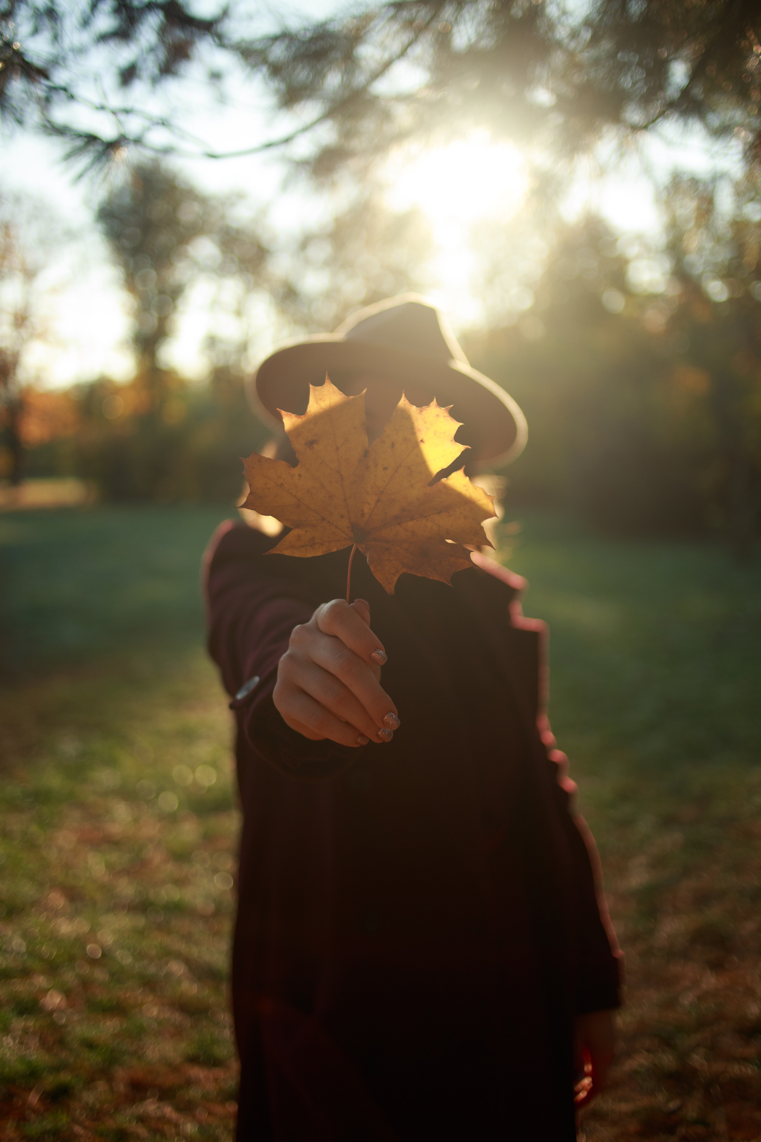 Ноябрь. Фотограф Неверова Катерина