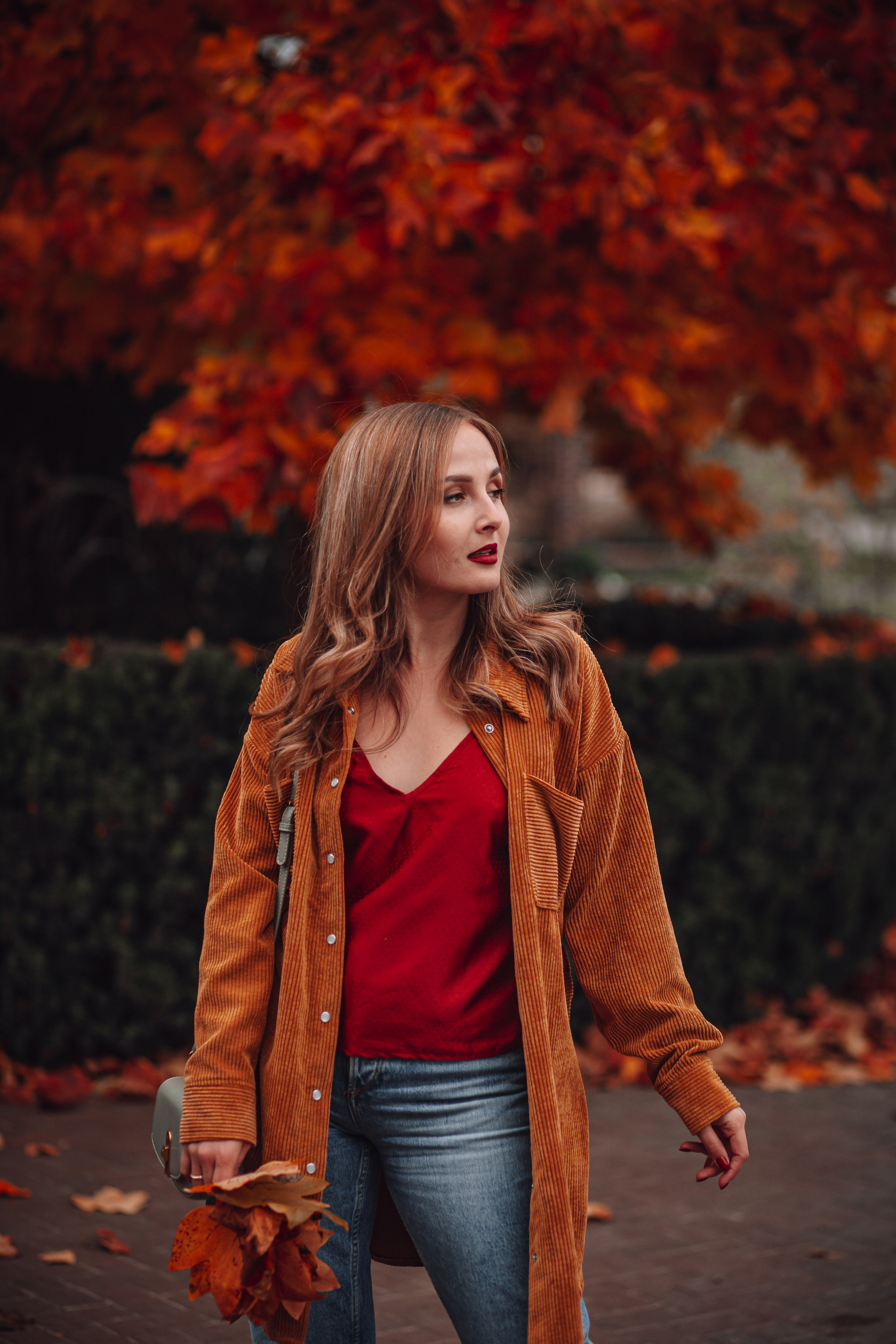 Краски осени. Фотограф Неверова Катерина