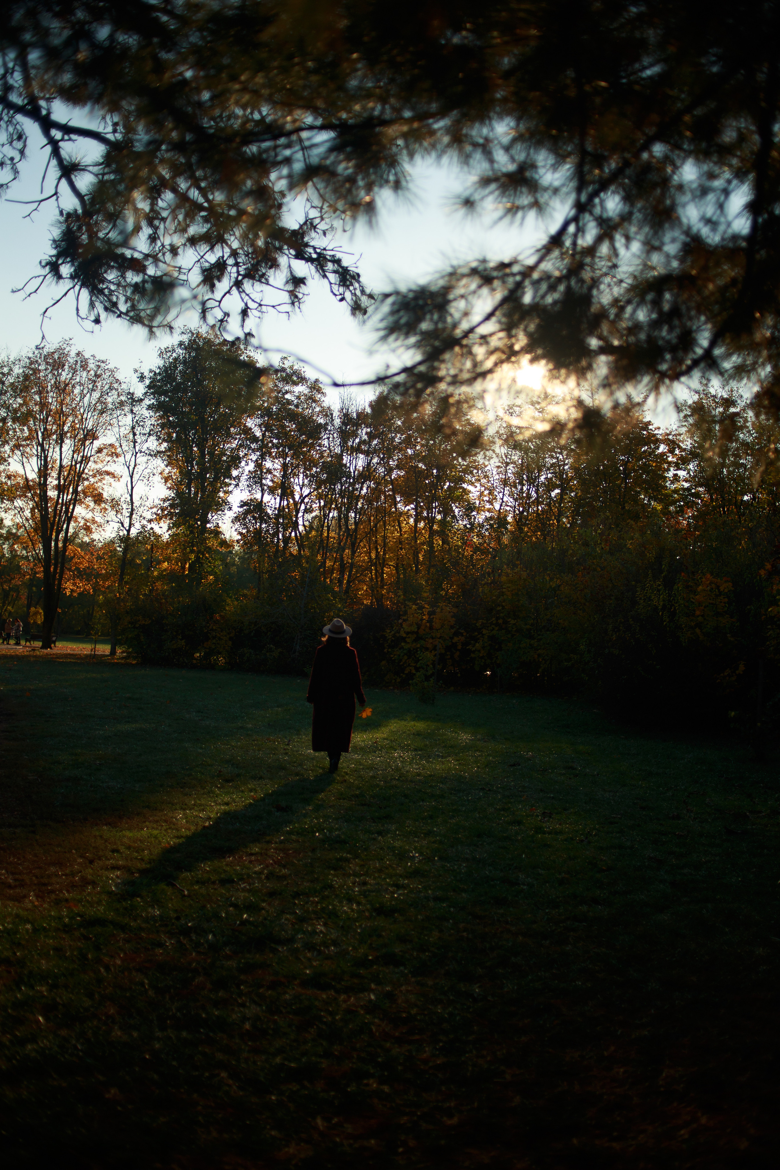 Ноябрь. Фотограф Неверова Катерина