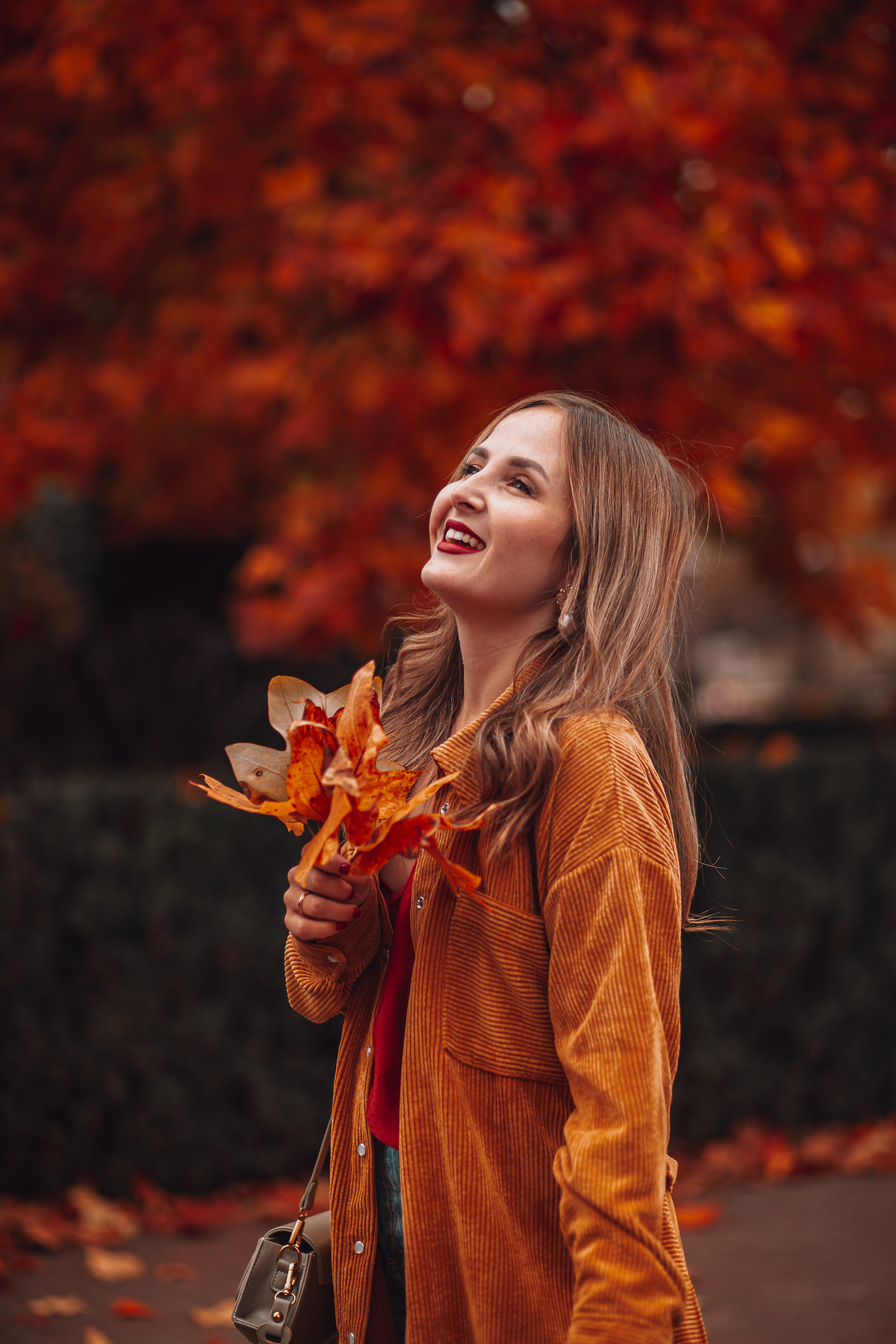 Краски осени. Фотограф Неверова Катерина