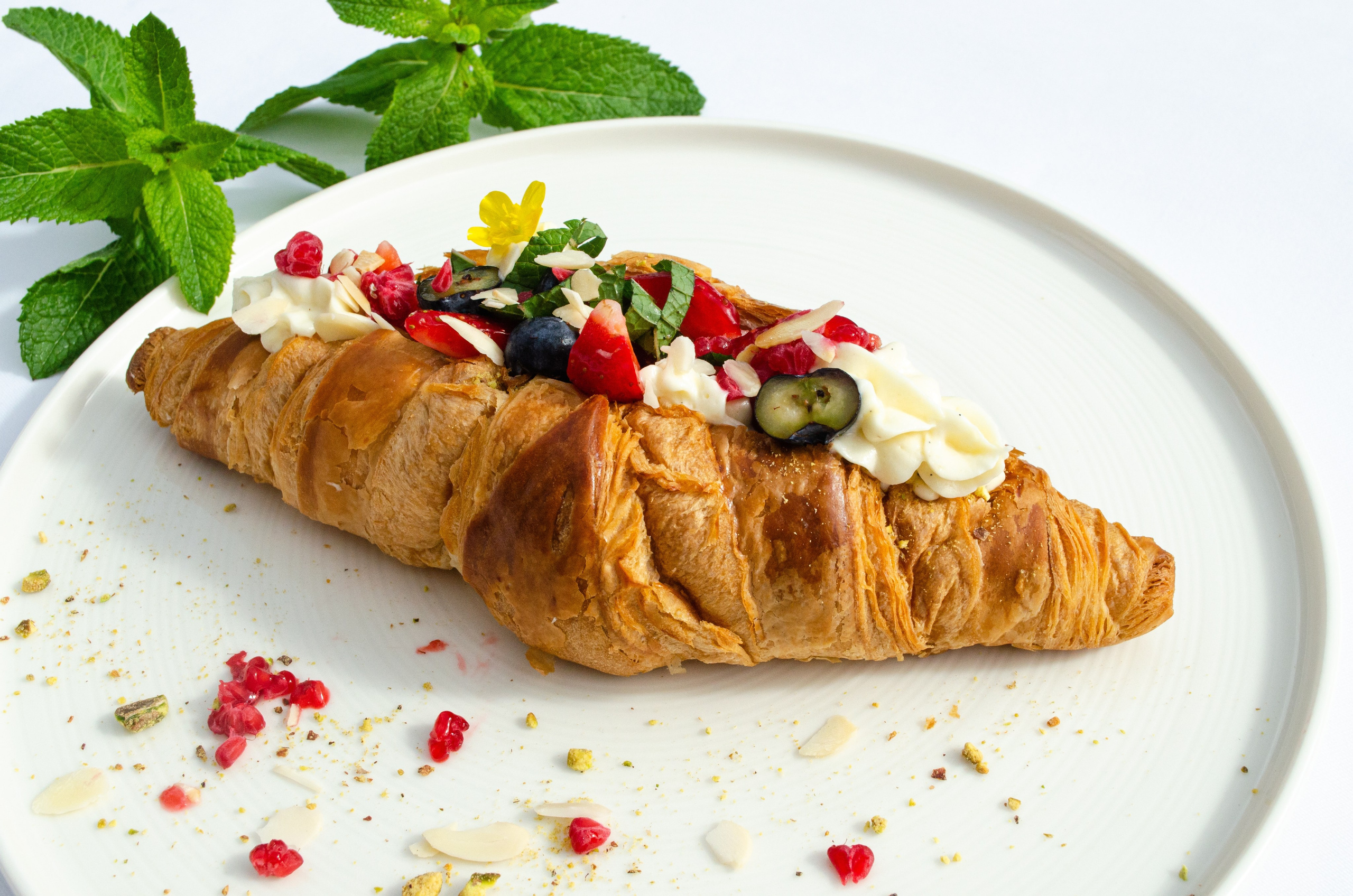 Роза Хутор Modys ресторан. Фотограф