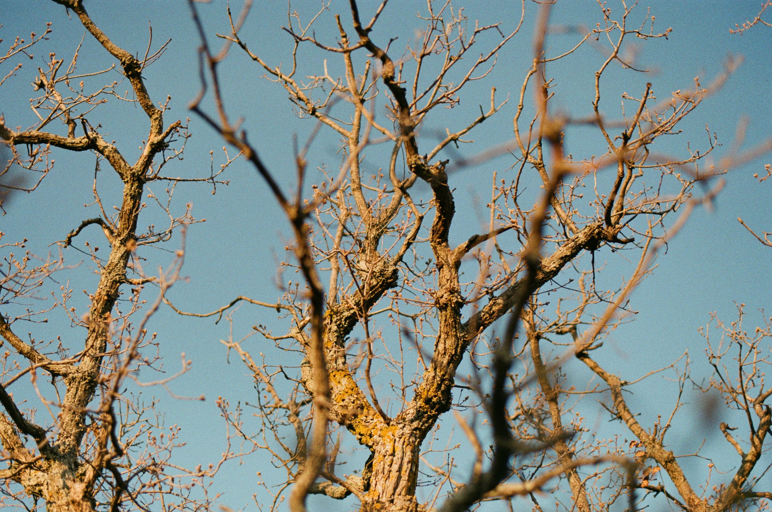 Some kind of madness // ukraine, crimea IV. EVER EXPOSED