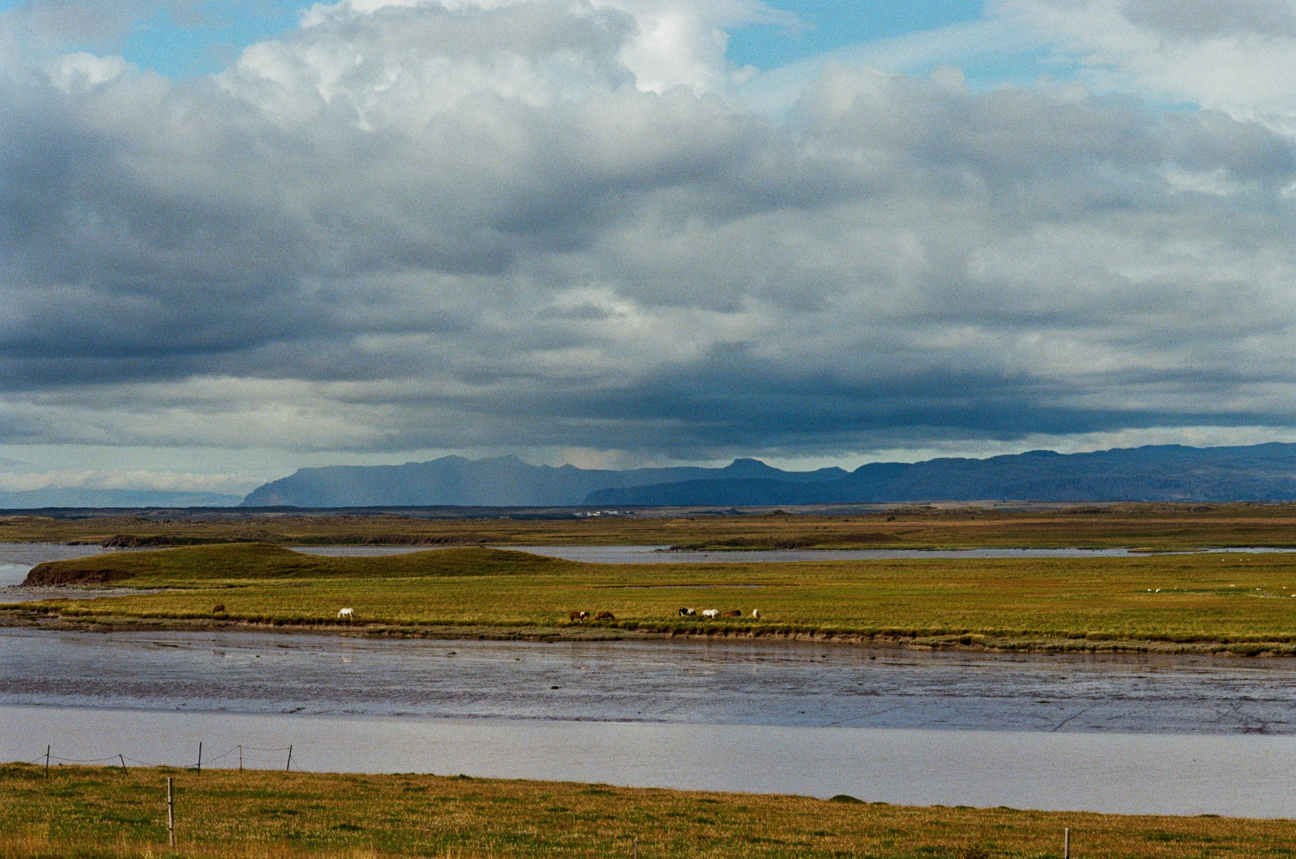 Vor i vaglaskogi // iceland, 724. EVER EXPOSED