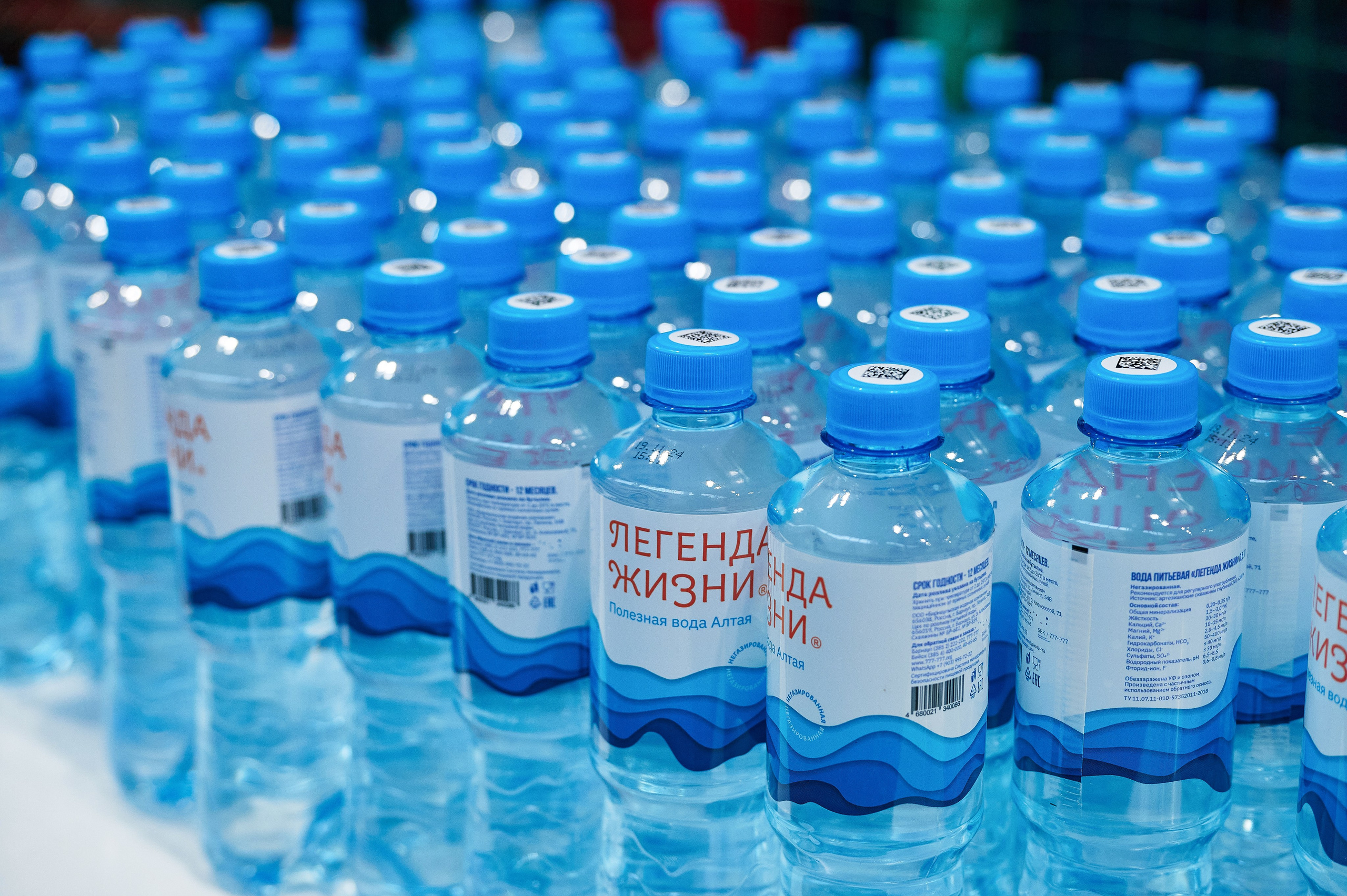 АКТО спартакиада. Фотограф Опыт Качество Скорость Горный Алтай Барнаул