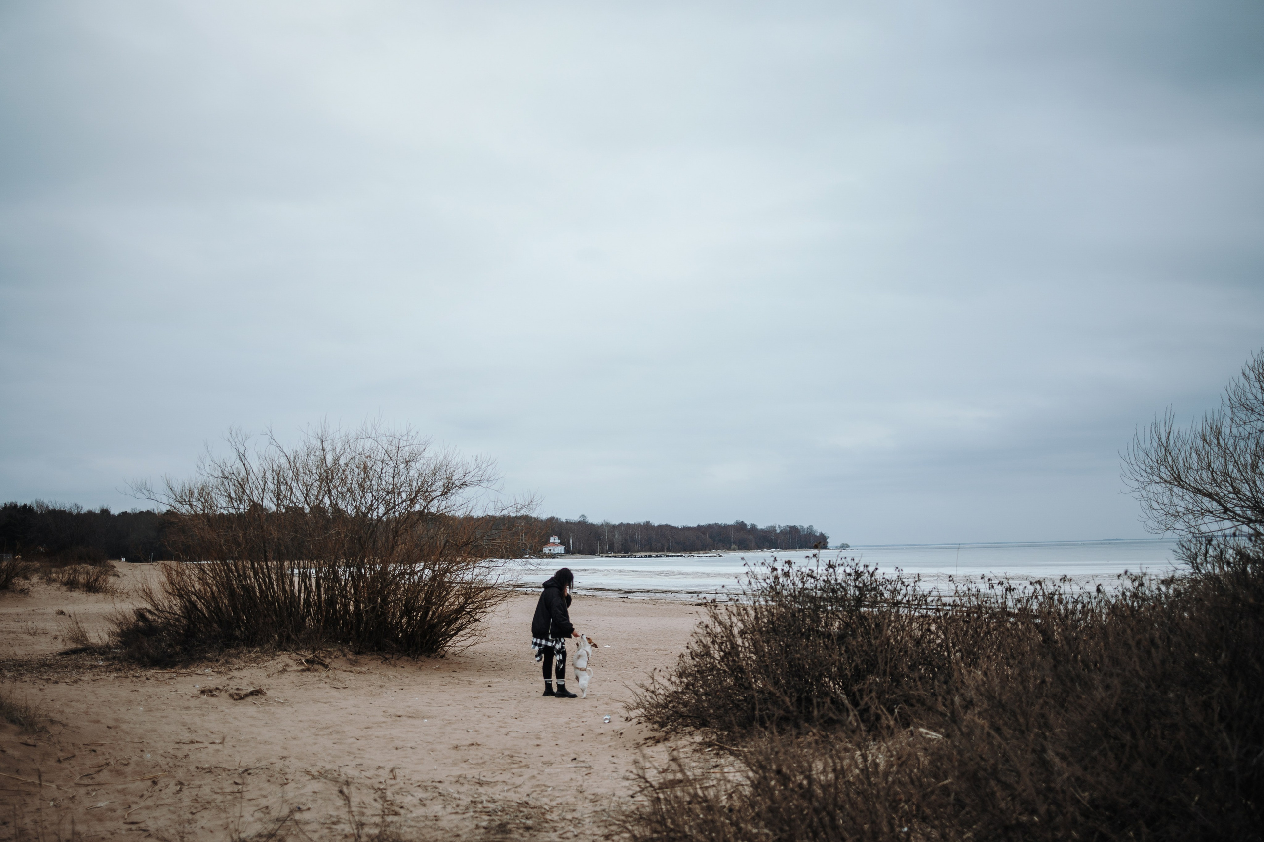 Саша и Джеки. Фотограф — Анималист | Санкт-Петербург