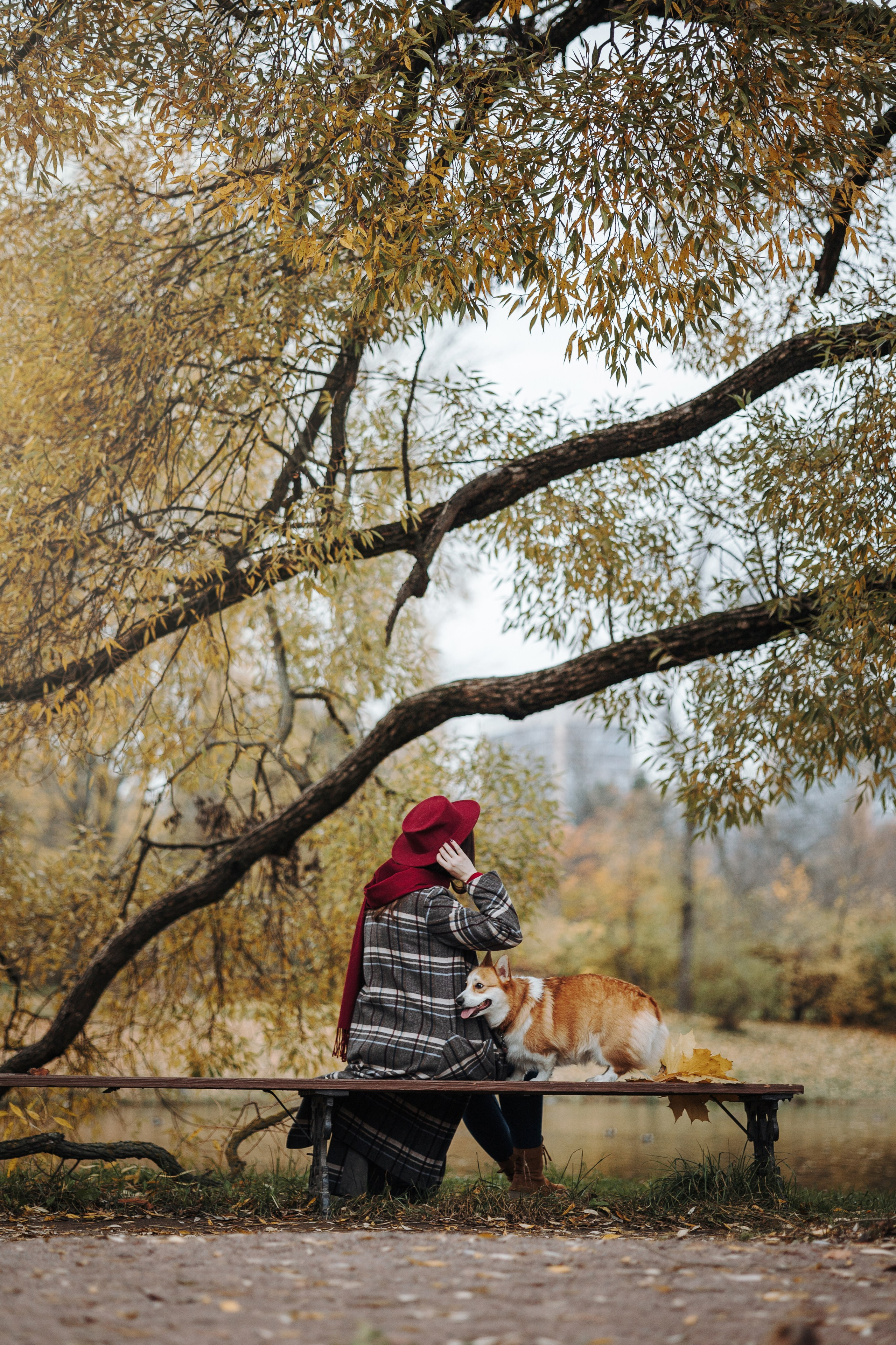 Юля и Терри. Фотограф — Анималист | Санкт-Петербург