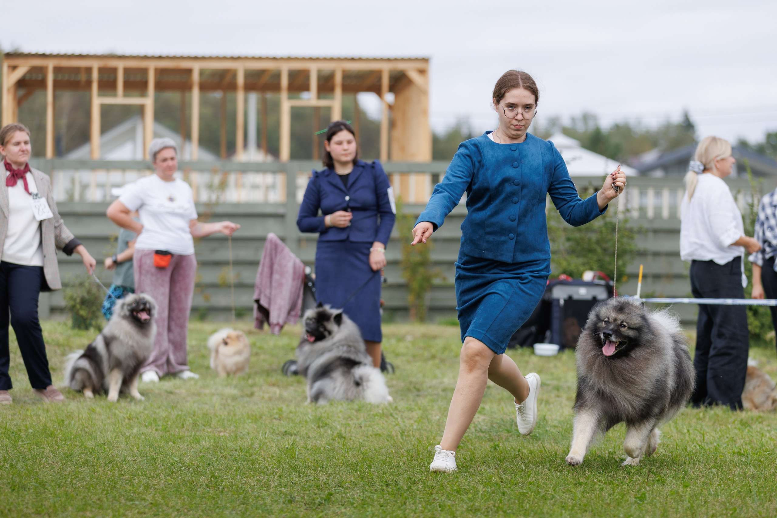 Выставки. Фотограф-анималист в Калуге Мария Шерскова