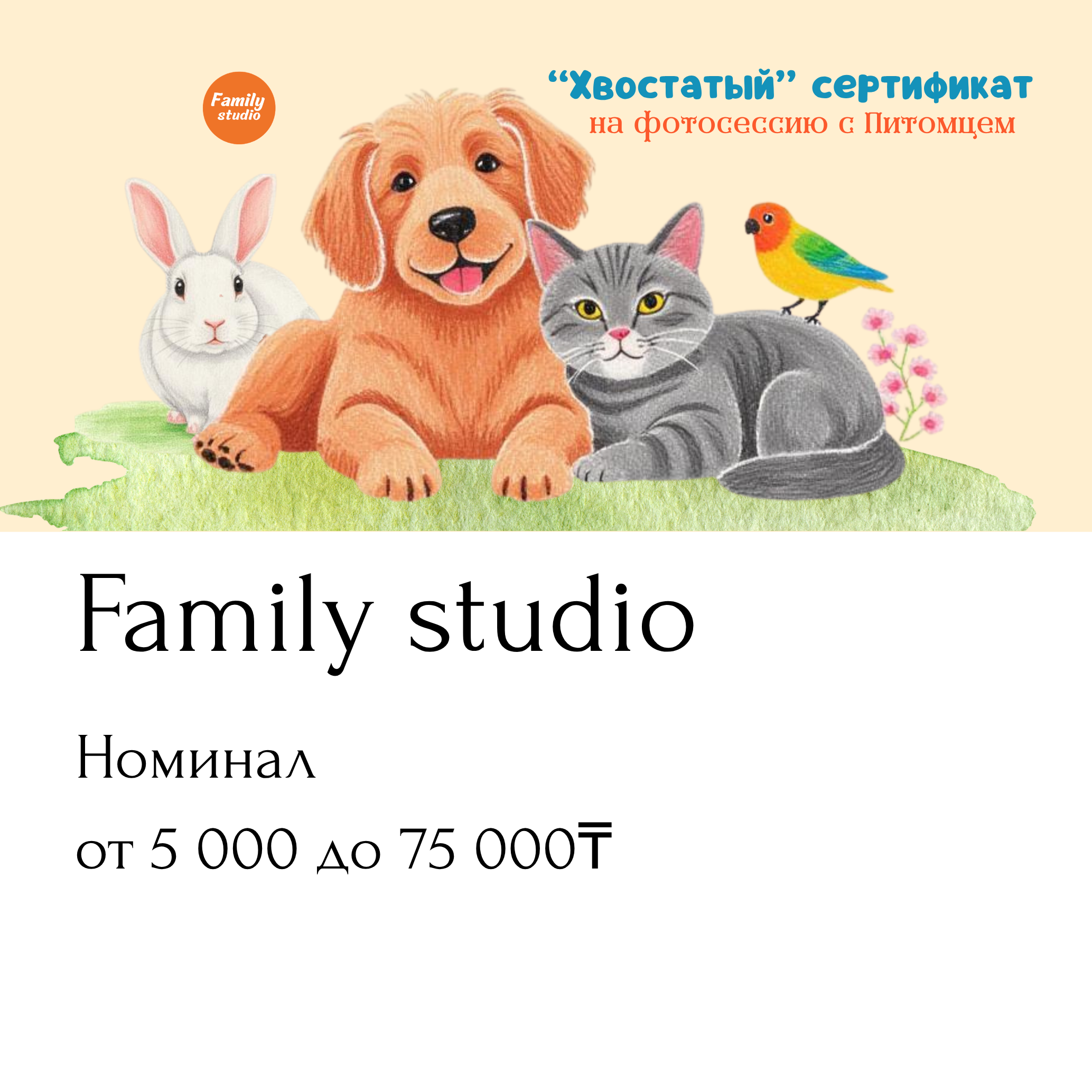 Семейные. Сертификат на фотосессию. Подарки. Обучение фотографии