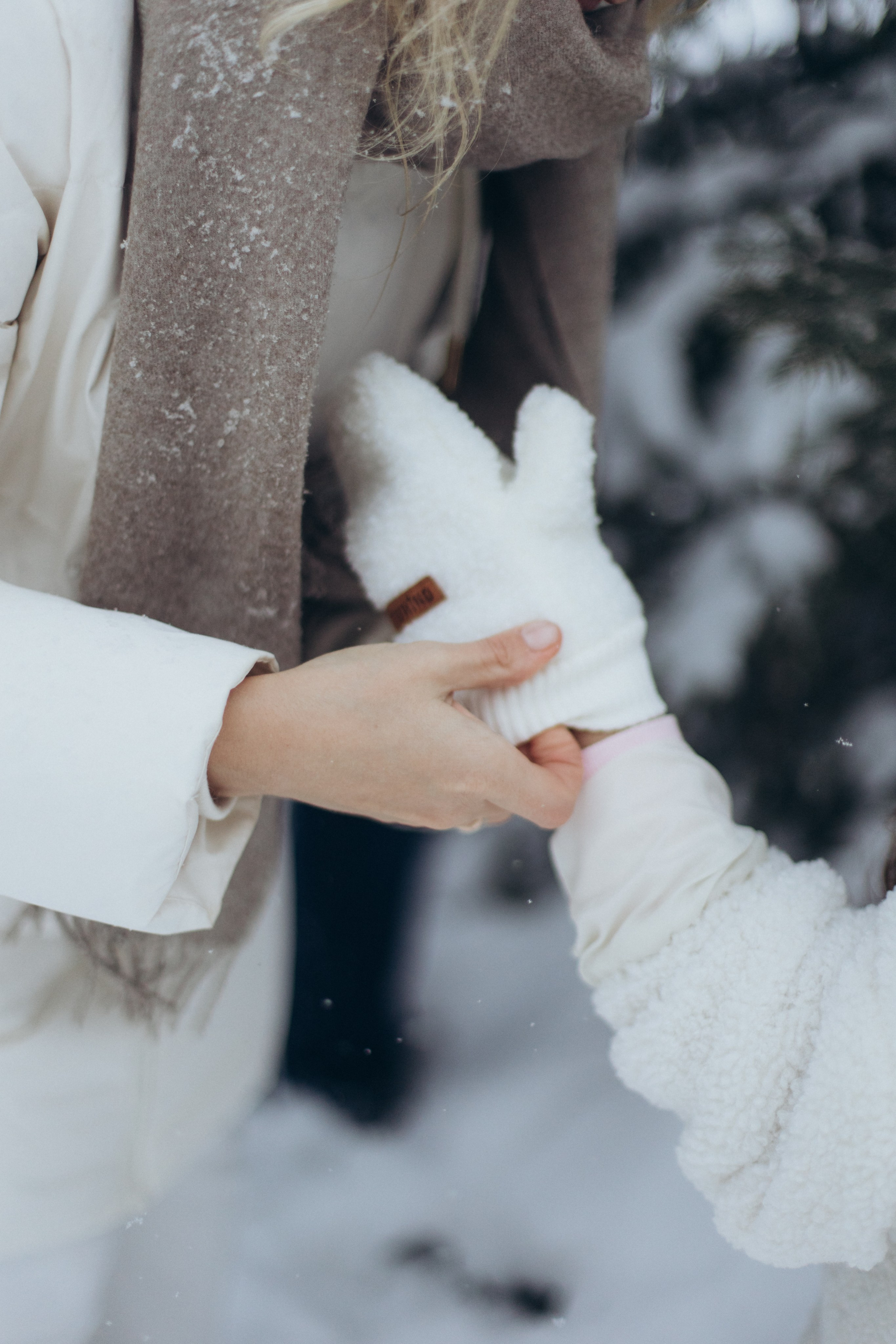 Зимняя история