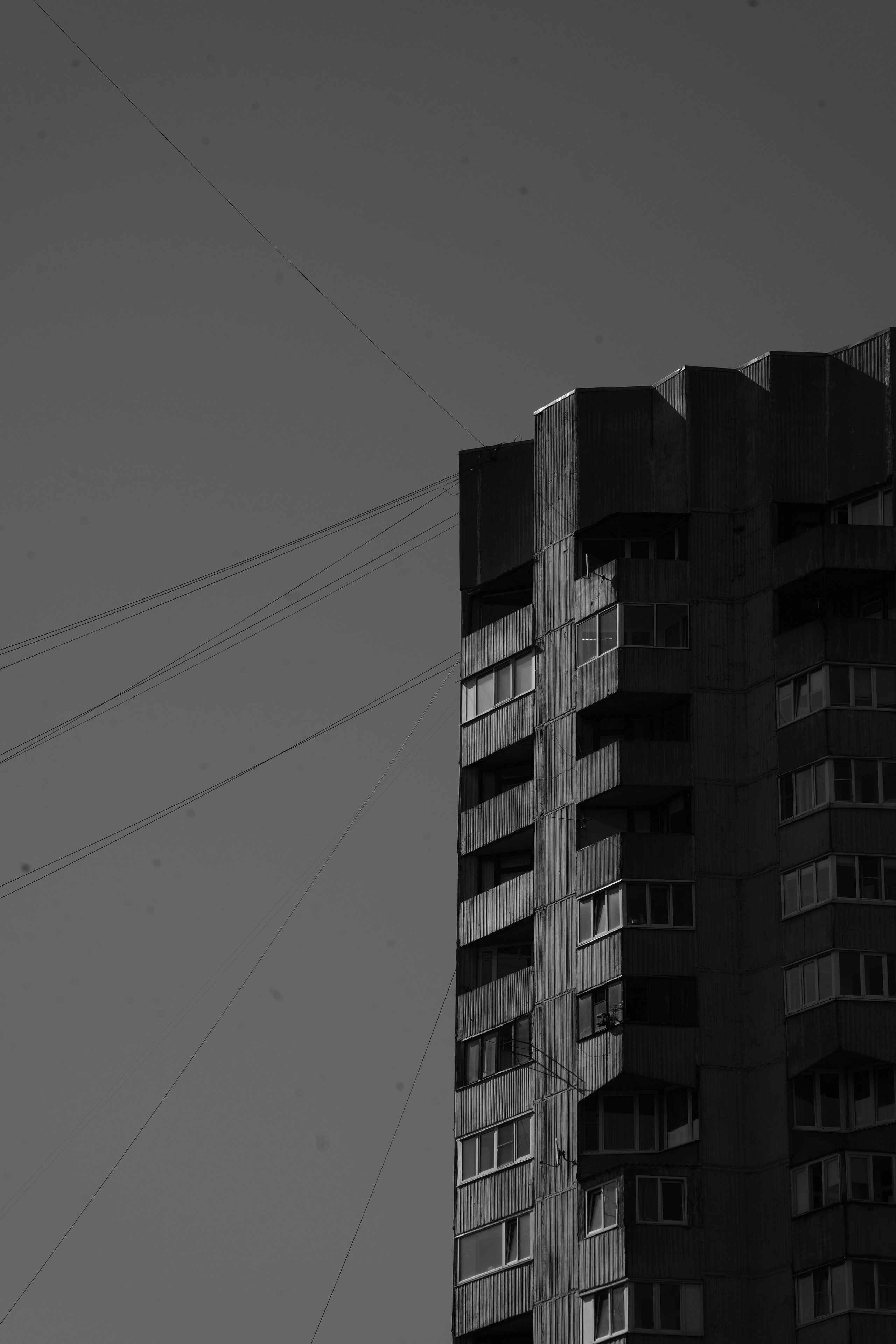 БРУТАЛИЗМ. VetkasART