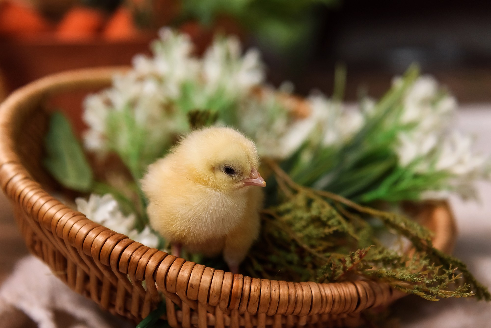 Пасхальные съемки