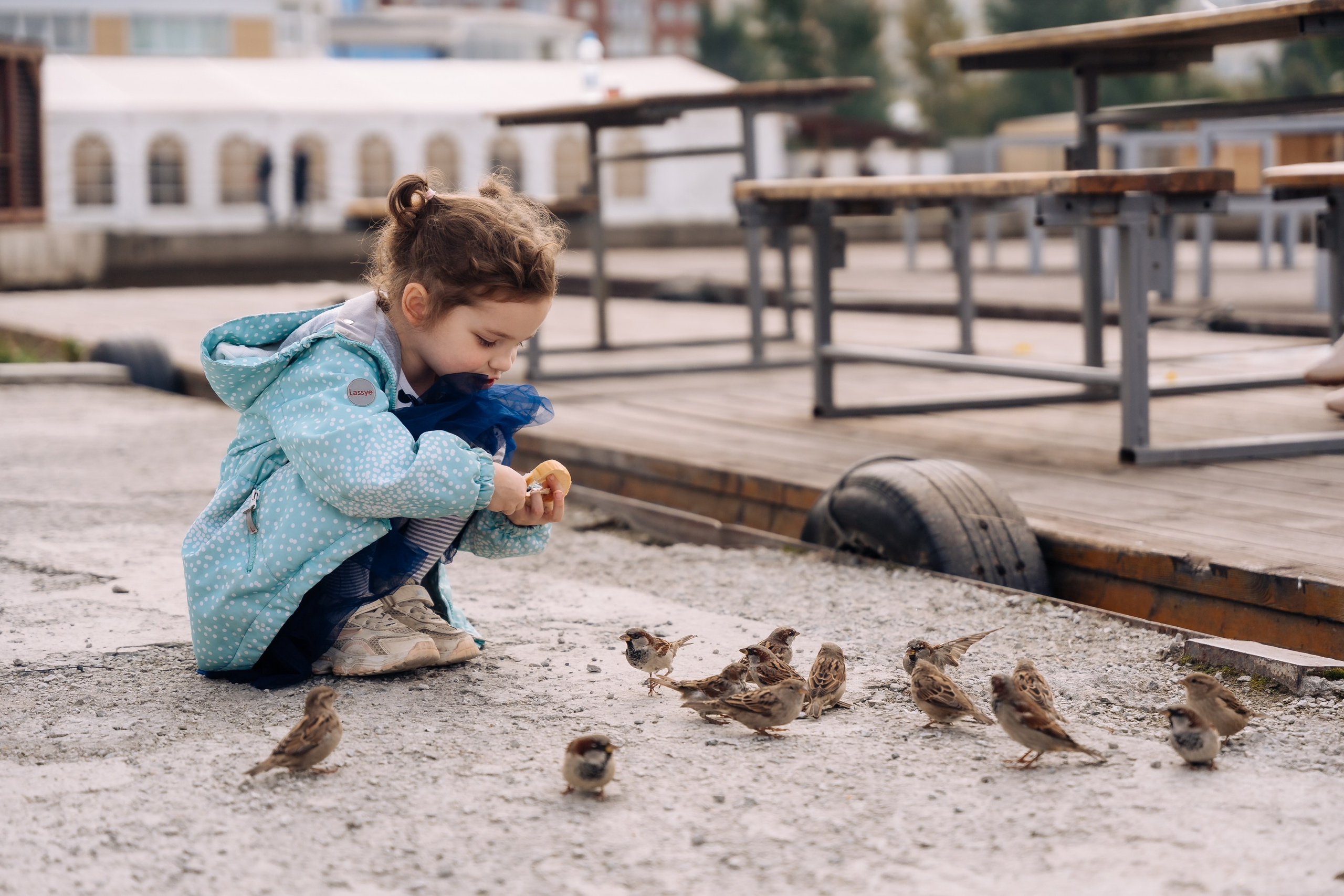 Дневные события. Geometria