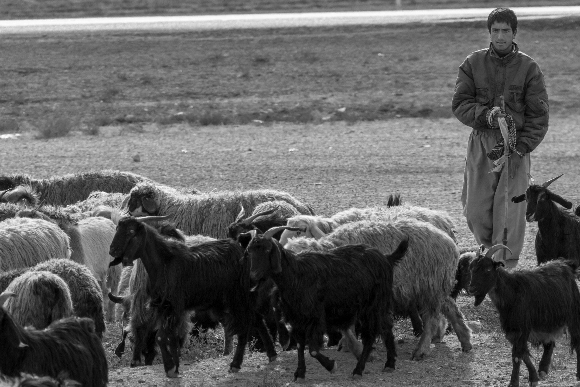 Иран. Фотограф Алексей Скоробогатько