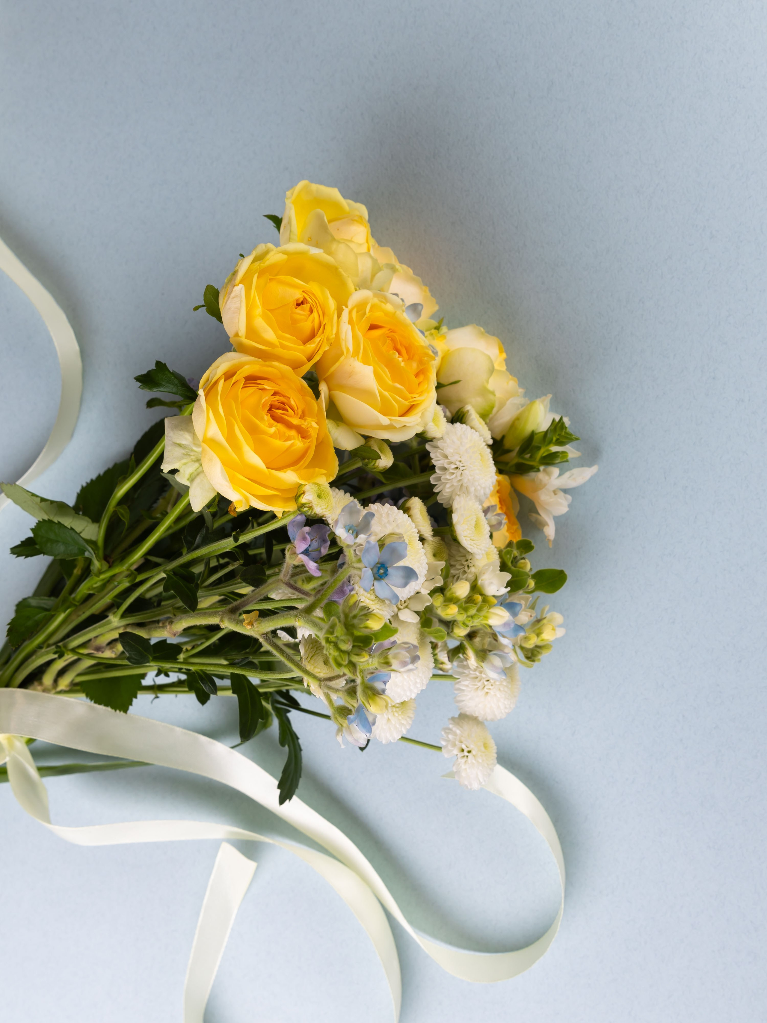 ЦВЕТЫ. ФОТОГРАФ ВИНОГРАДОВА ДАРЬЯ