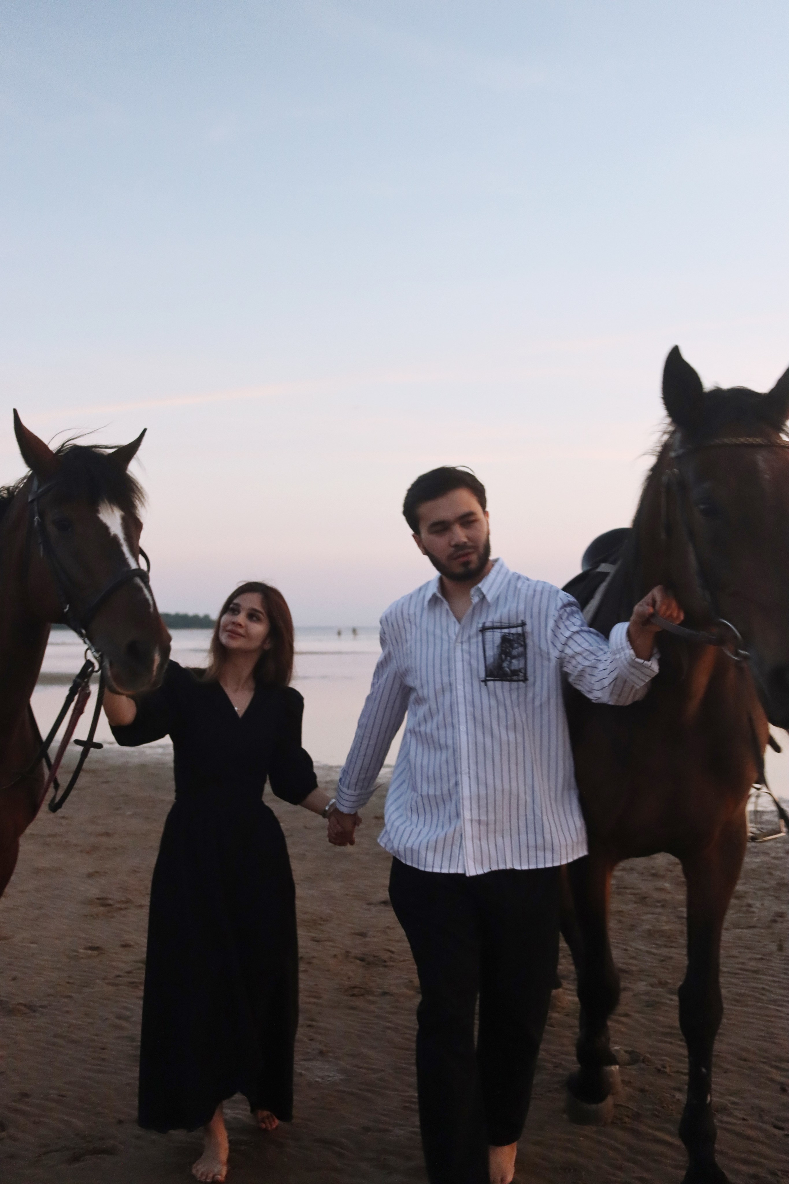 Love story с лошадьми