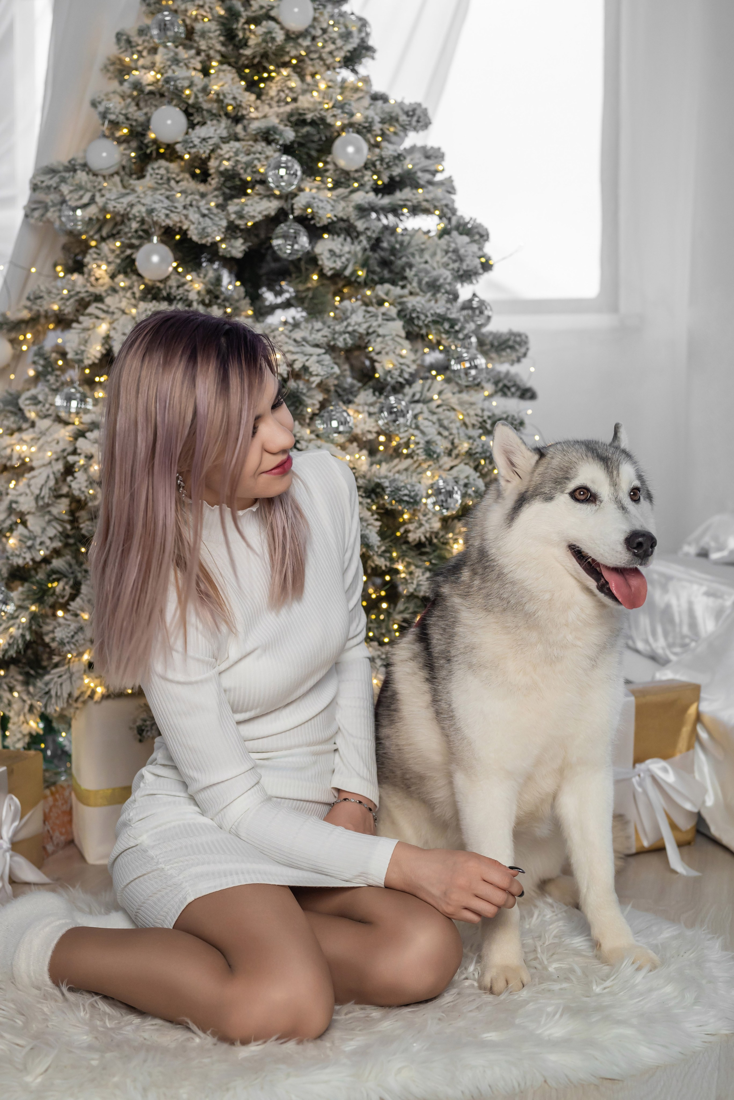 Фотопроект с хаски. Фотограф в городе Салават