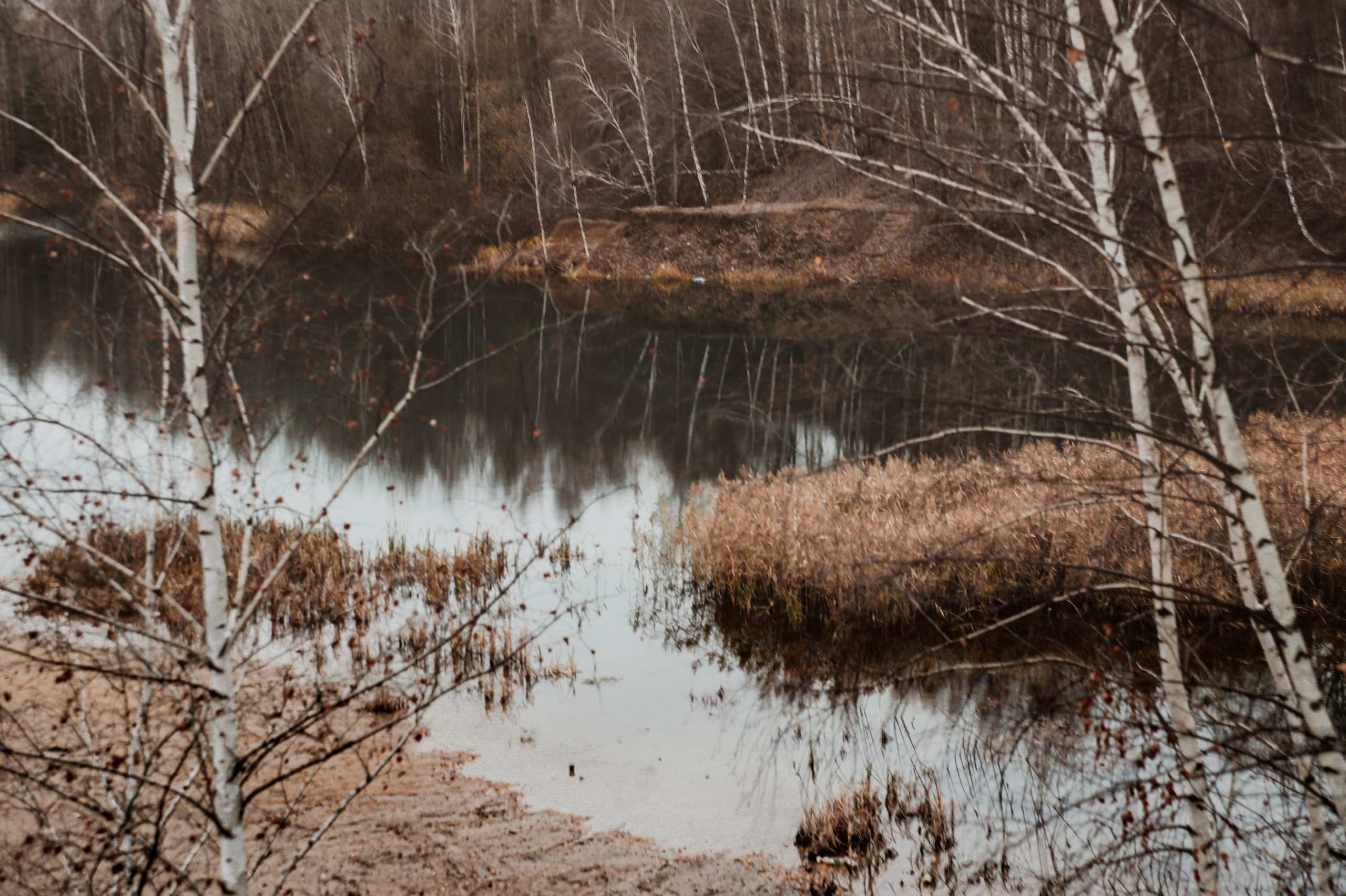 Ноябрь 2022. Efremovaphoto.ru