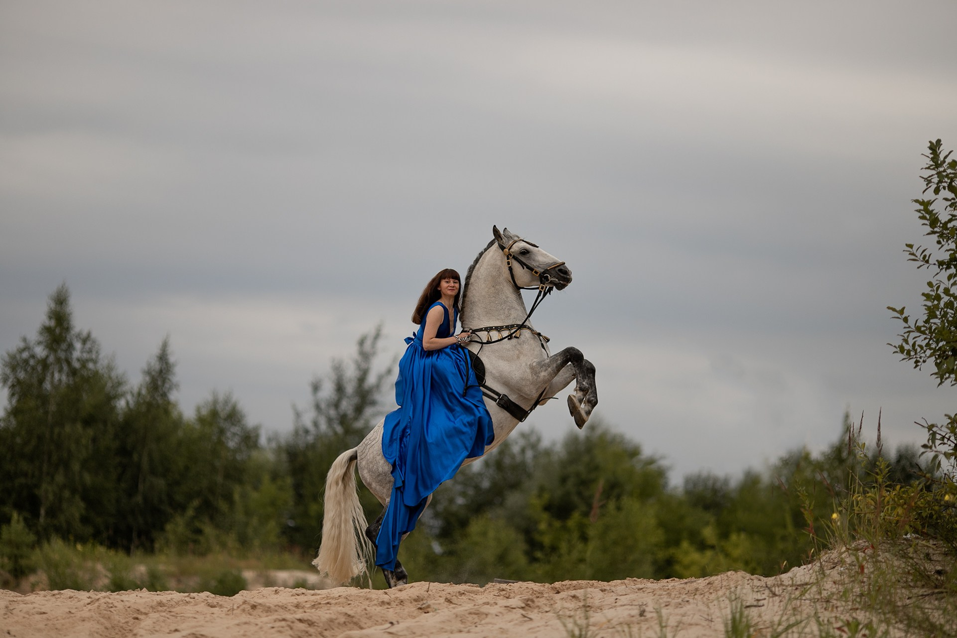 Портфолио и примеры работ с фотосессии с трюковыми лошадьми. Фотосессии с лошадьми в Москве от Конный фотографа Кутейниковой Светланы