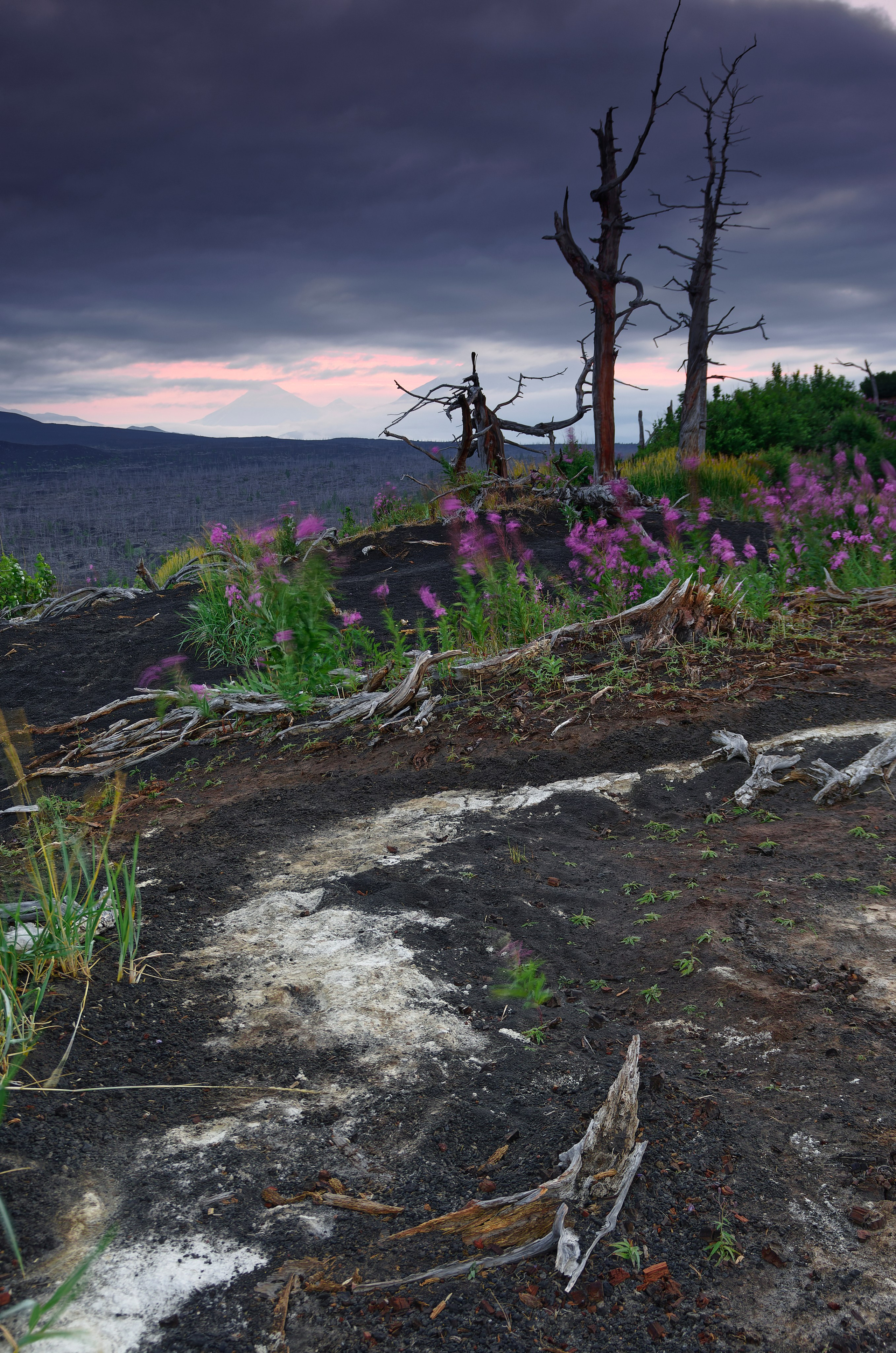 Камчатка. Фототрип. Тур?. Семоха Валерий. Фотограф
