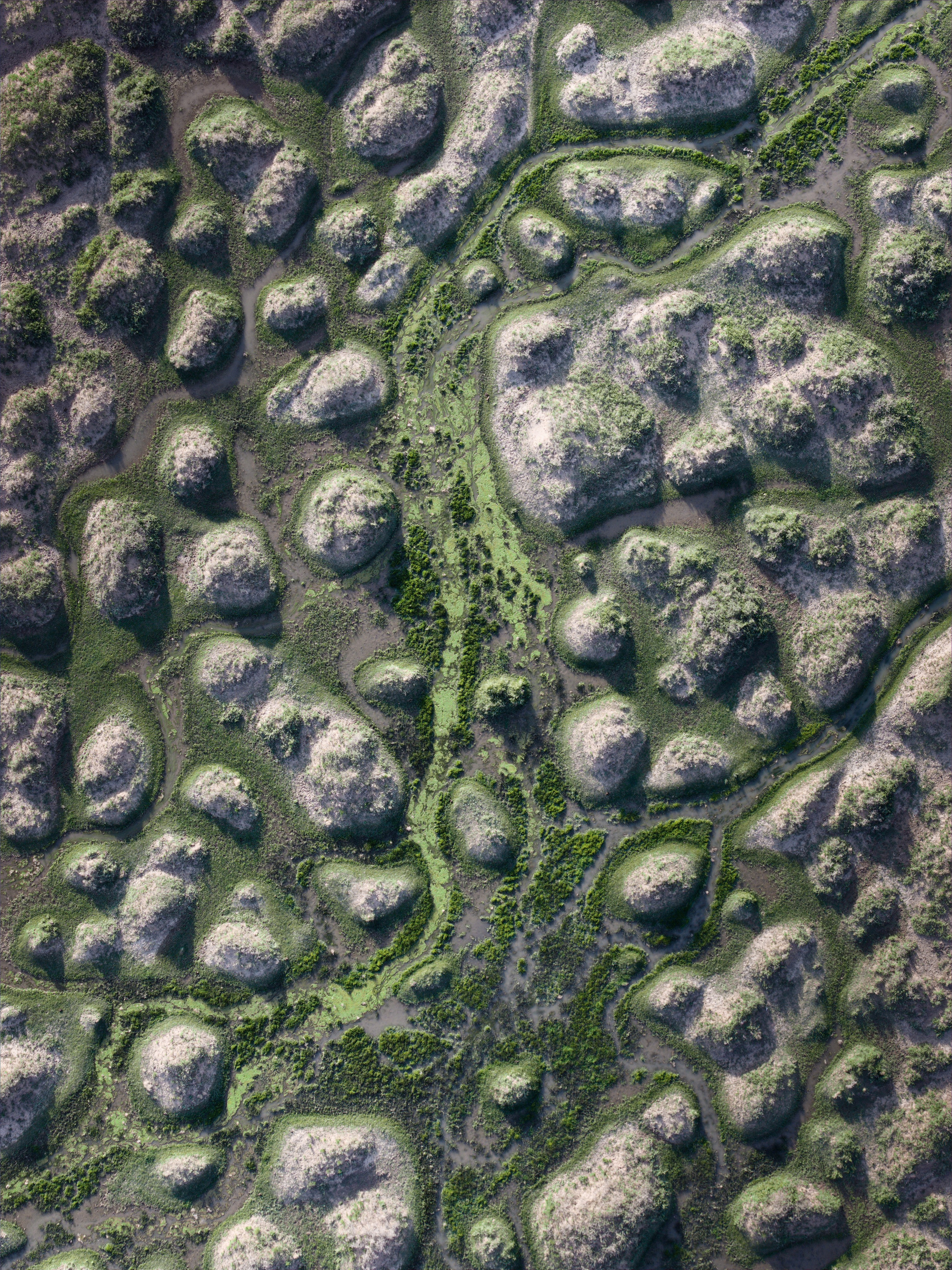 Экспедиция в Монголию (Гоби). Семоха Валерий. Фотограф