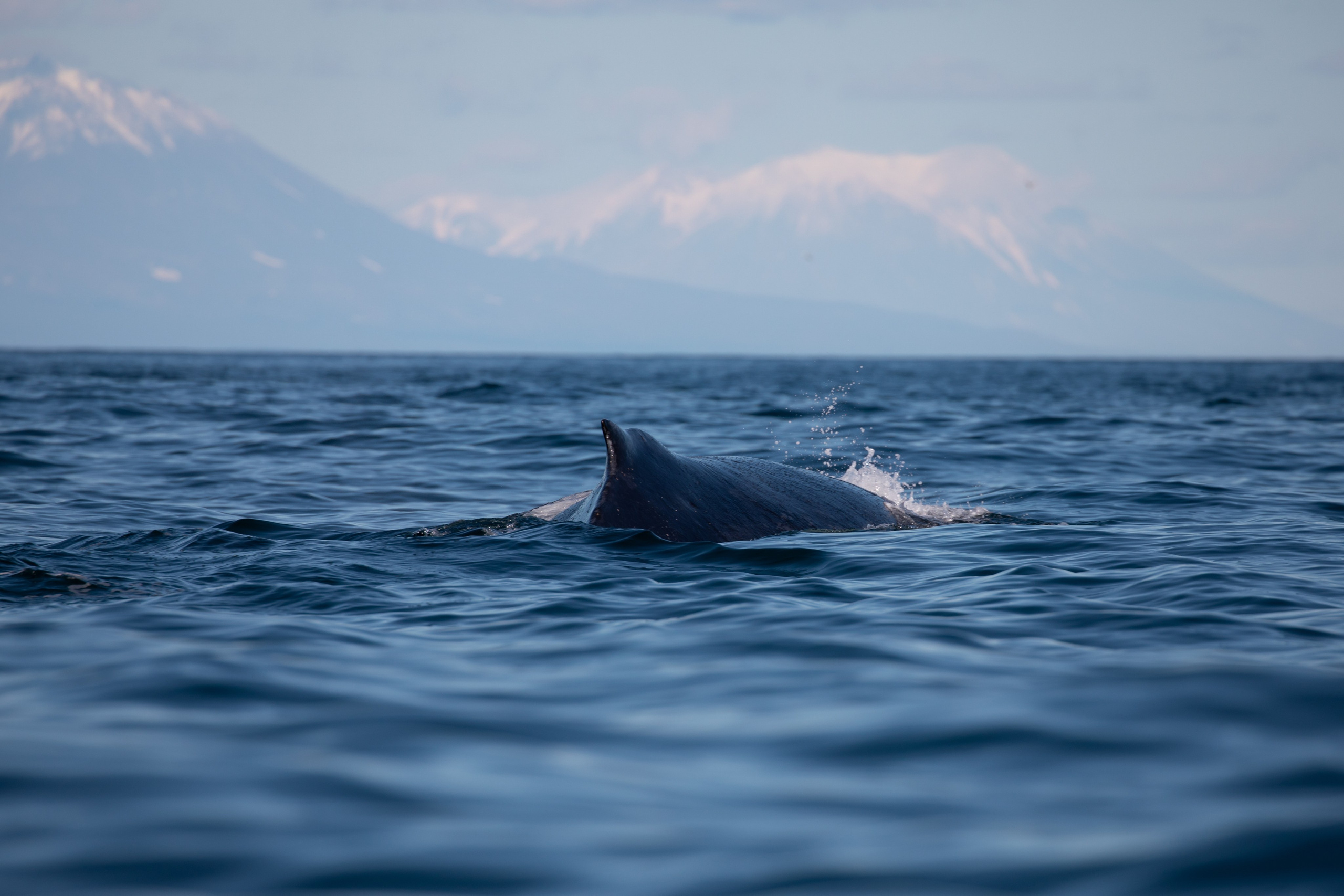 Kamchatka. Yulia Tsyganova