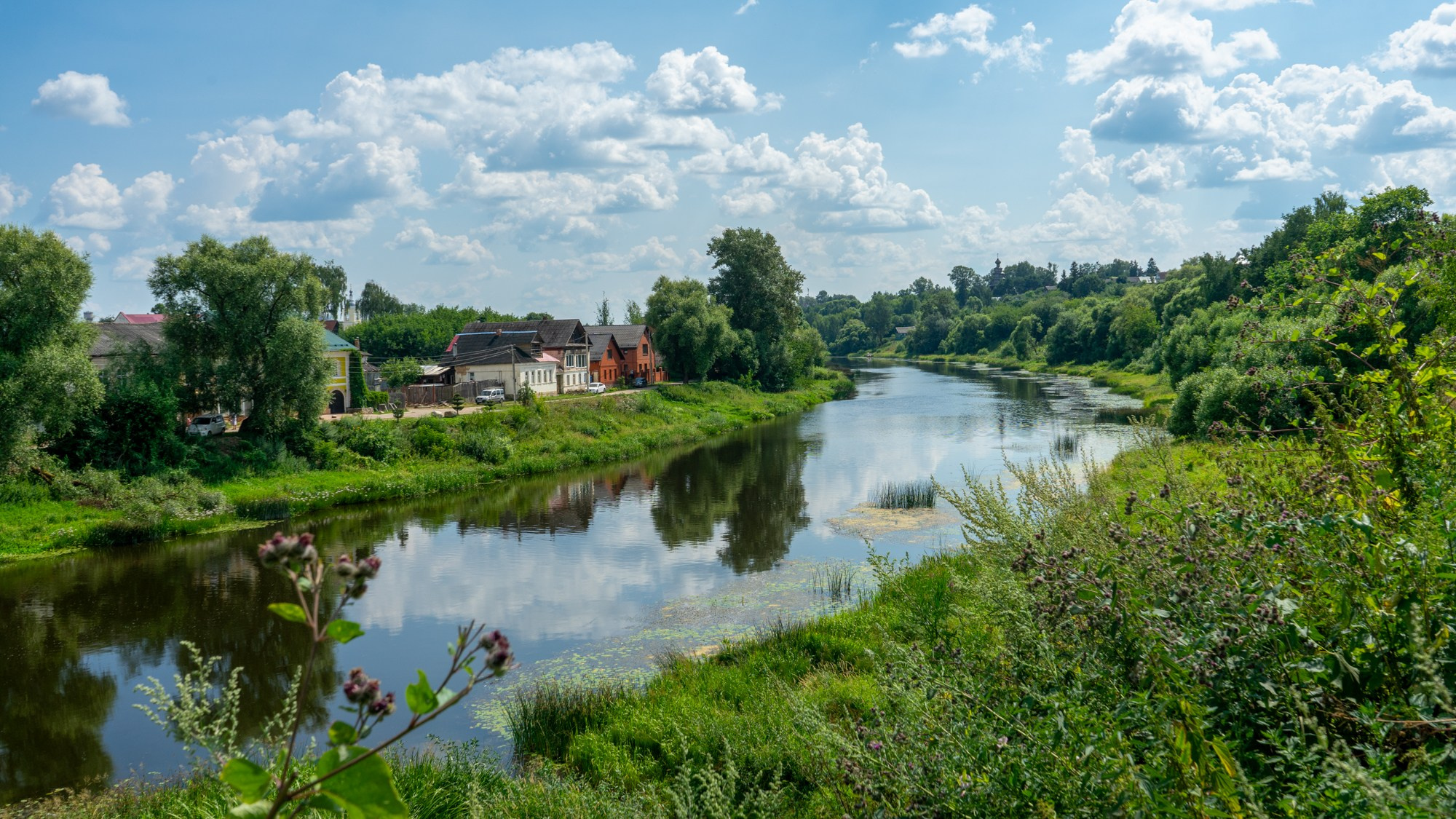 Семейный и детский фотограф