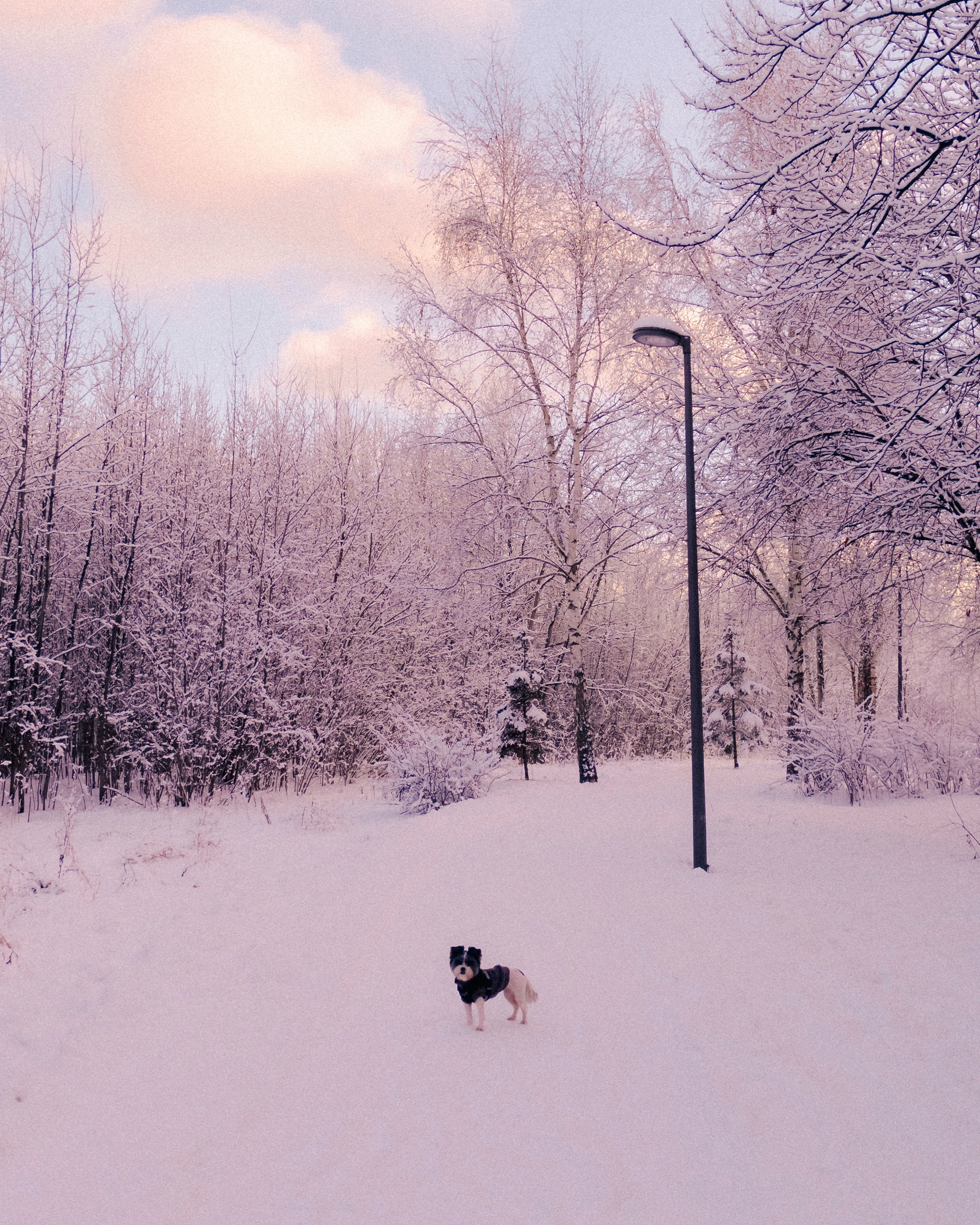 Фёдор Малюгин. Ваш бади в визуале