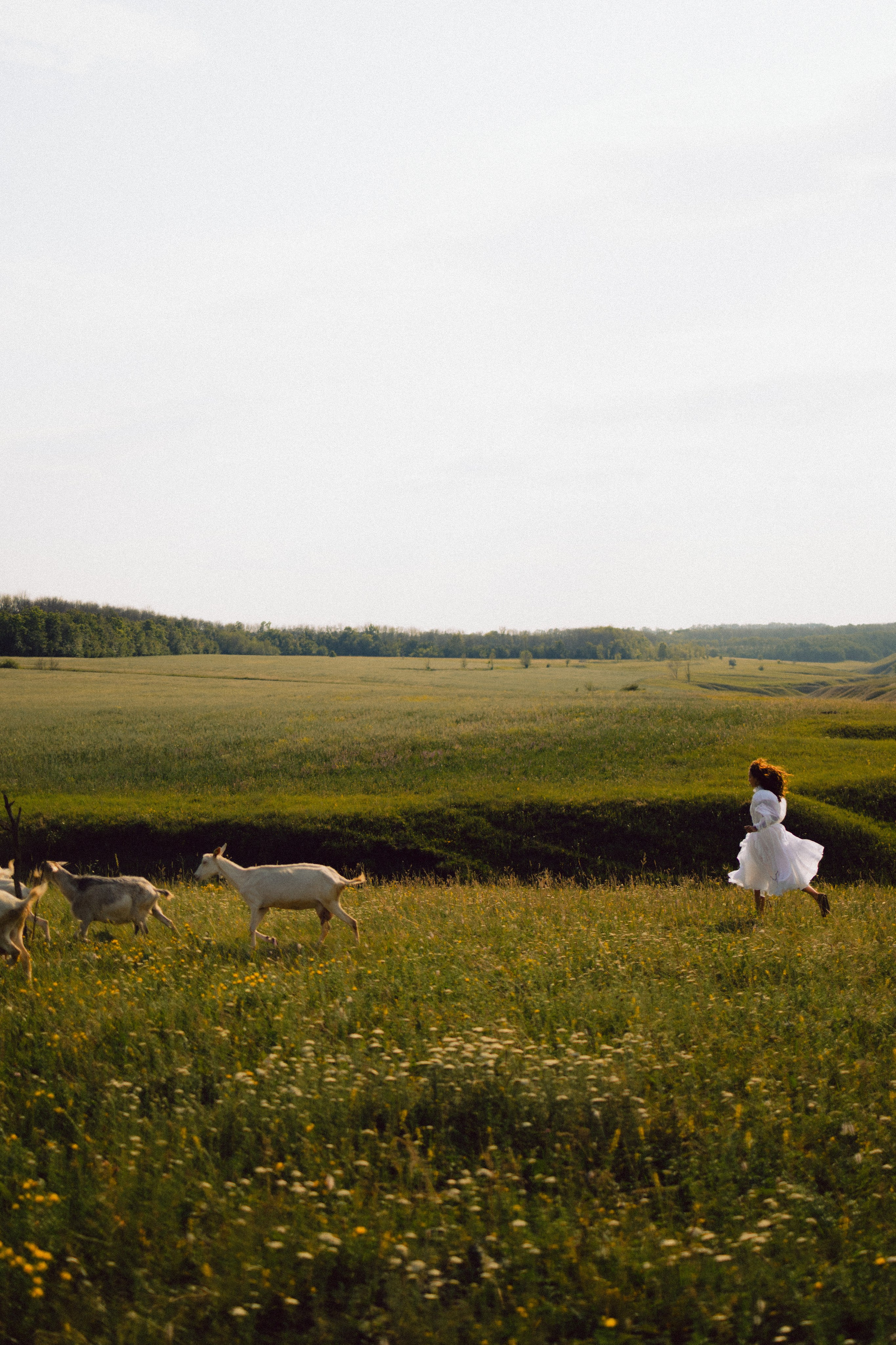 Freedom. Фотограф Шалаева Александра
