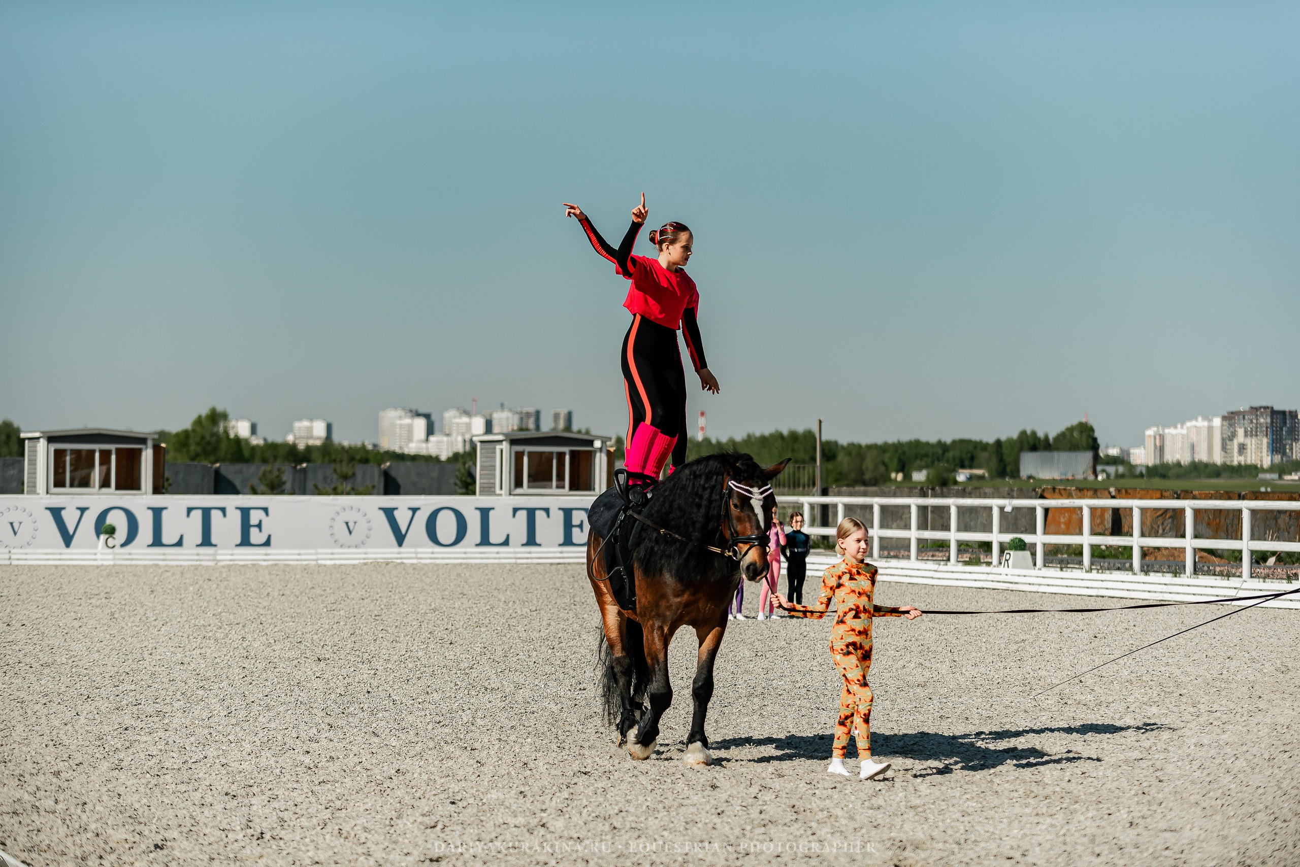РЕПОРТАЖ МКК ВОЛЬТ «LA TULIPS». Конный фотограф Куракина Дарья • Фотосессии с лошадьми