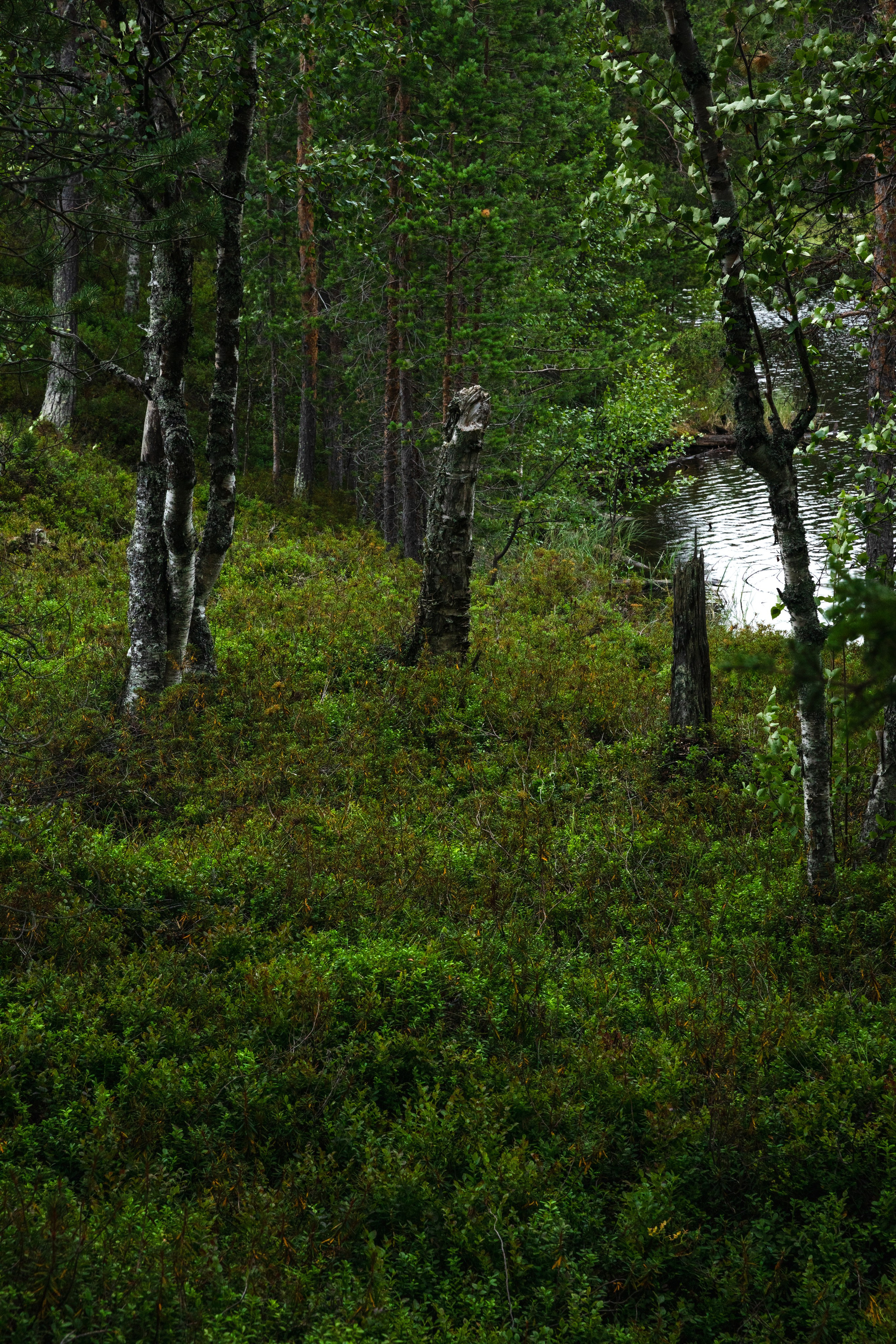 Оз. Колвицкое. Фотографии