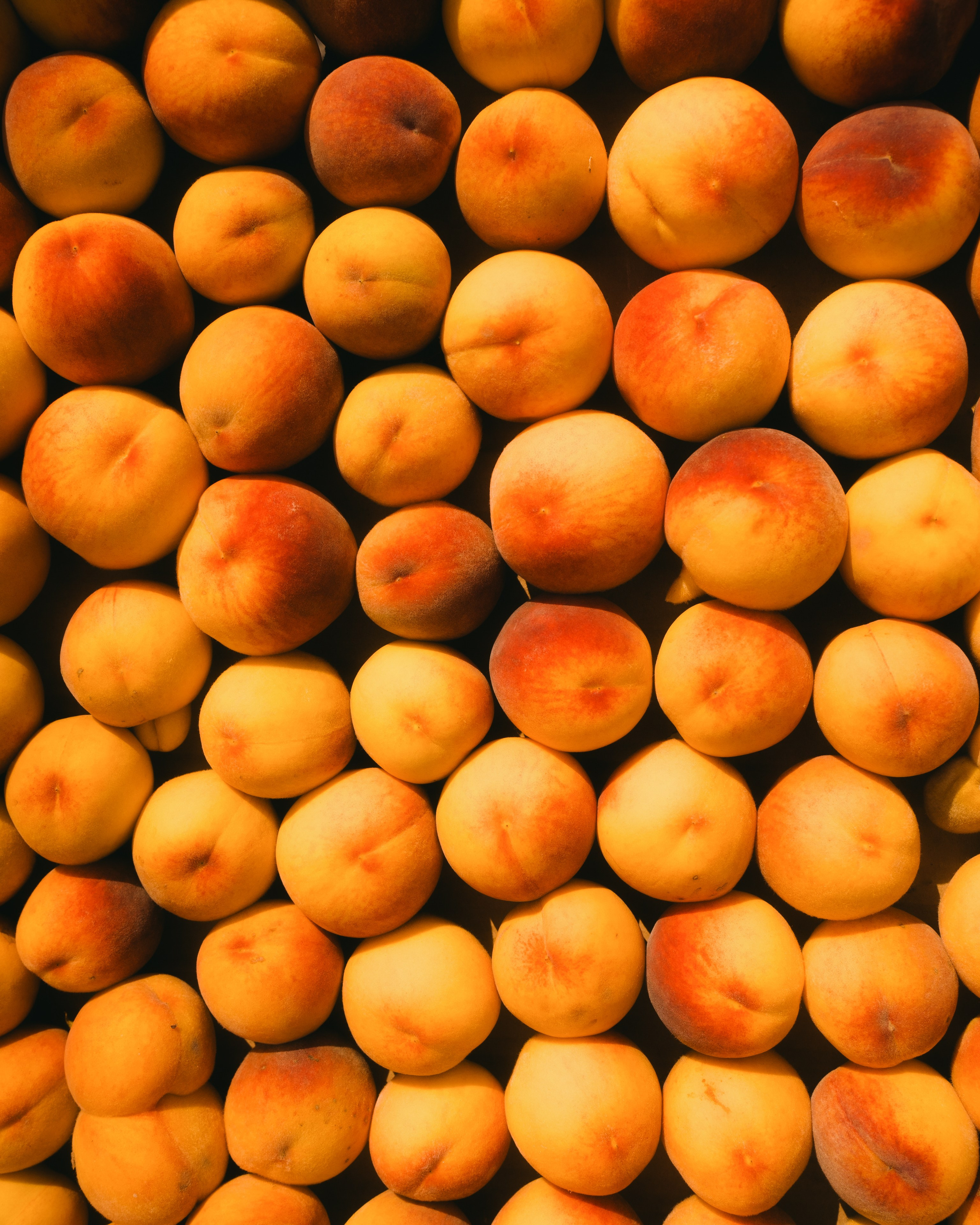 Dagestan / Yandex 360 x КУДА ГЛАЗА ГЛЯДЯТ