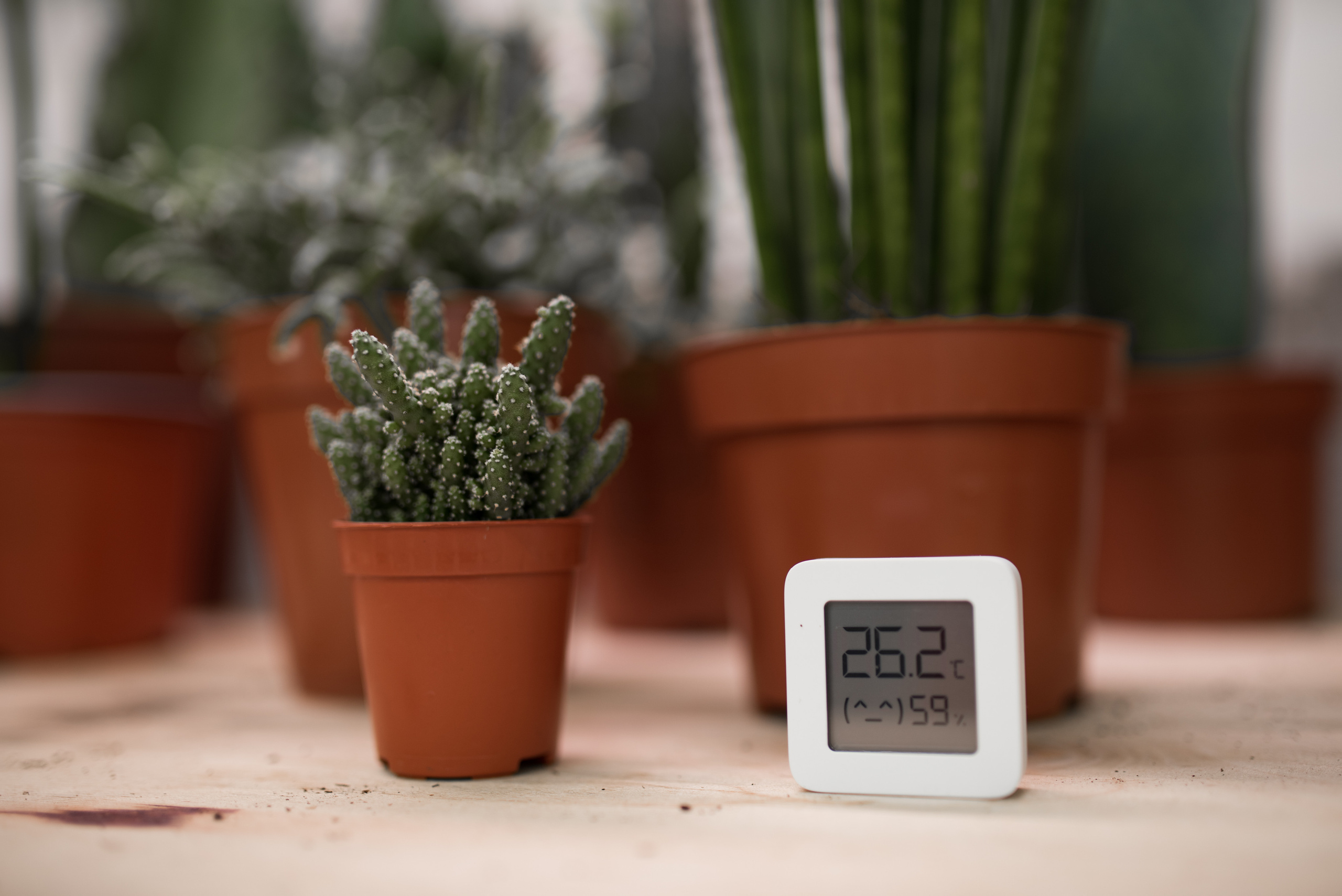 People at Work. Lesha Pavlov