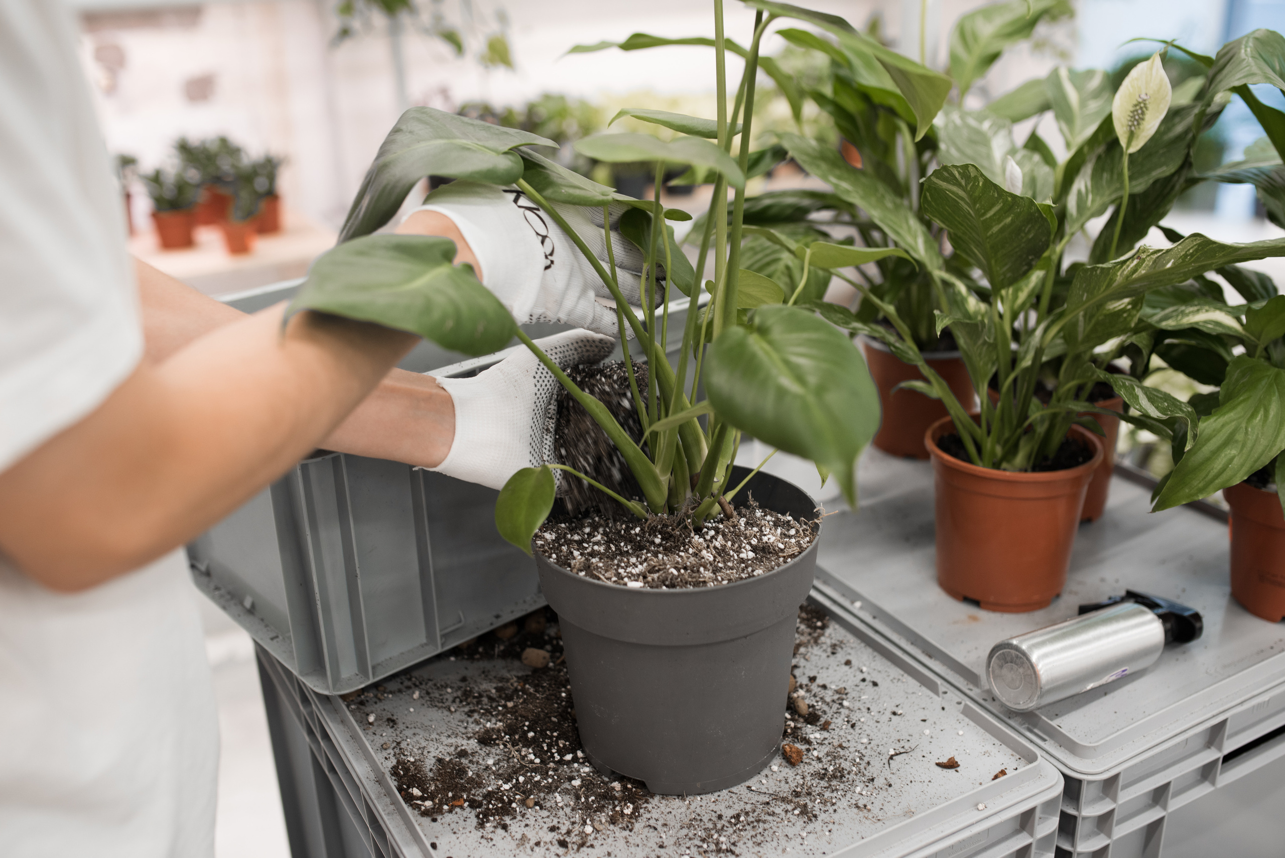 People at Work. Lesha Pavlov