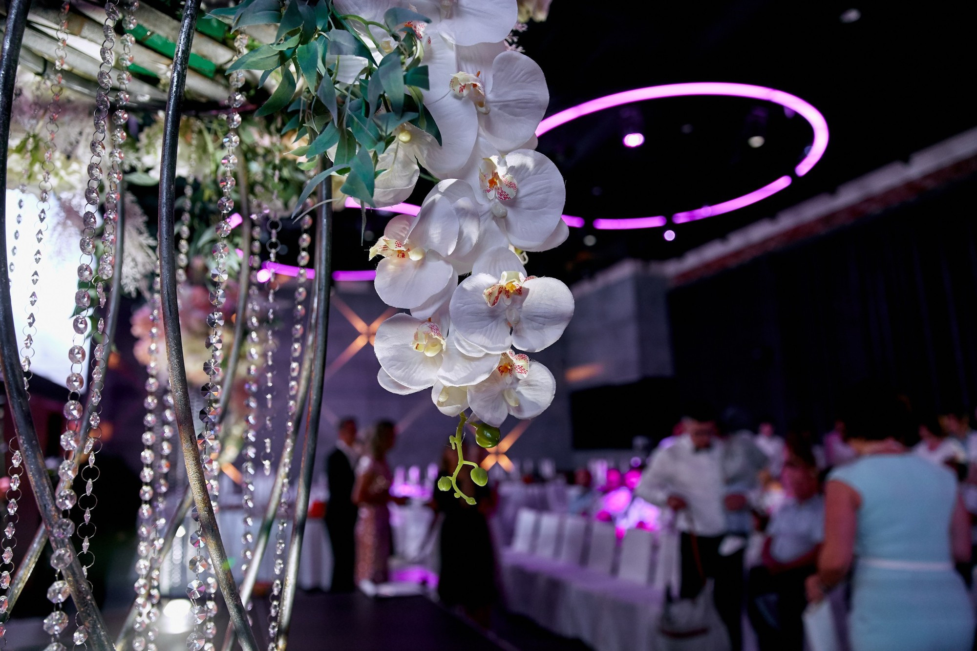 Евгений и Галина