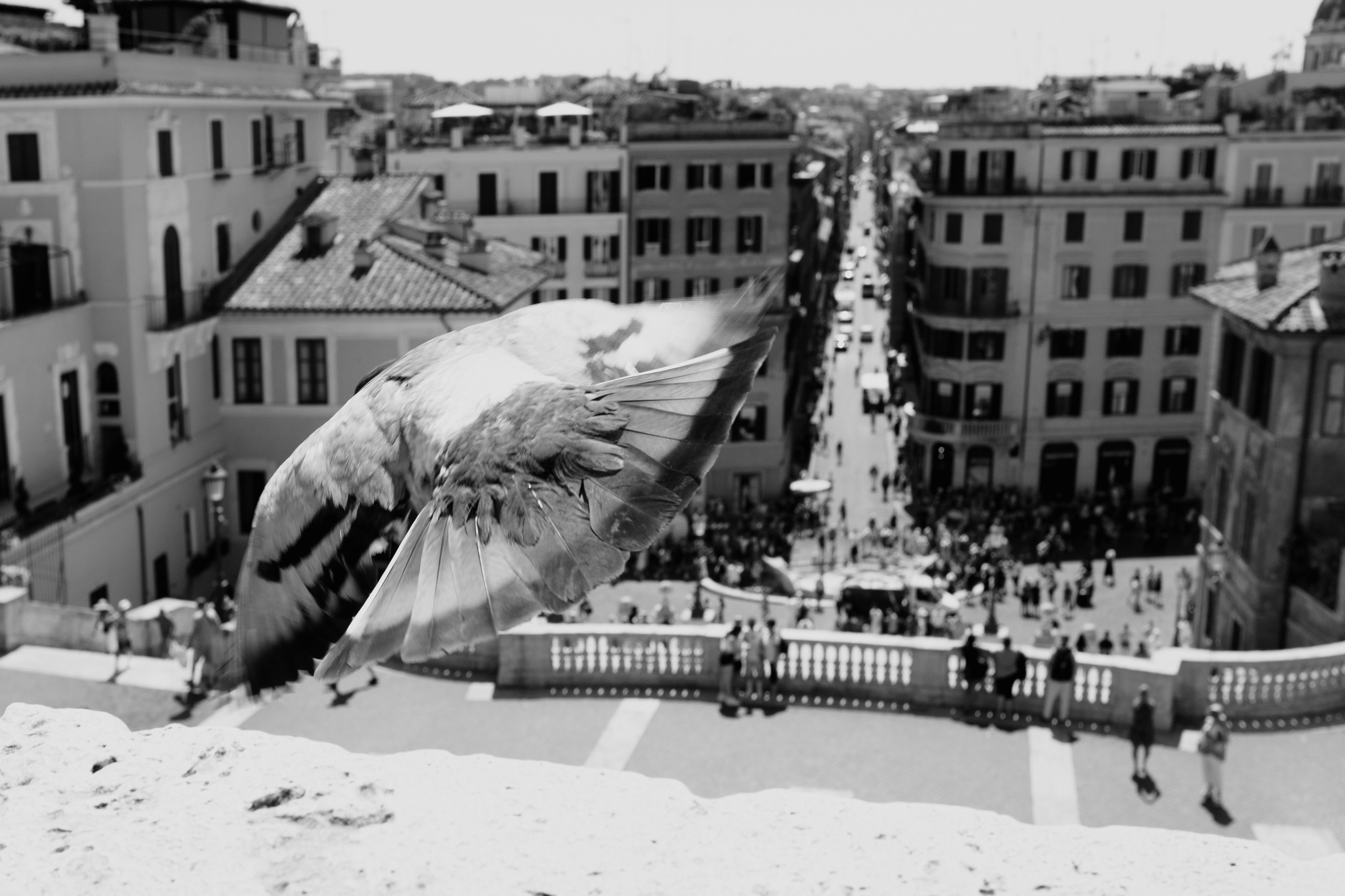 Стрит. Фотограф Минск