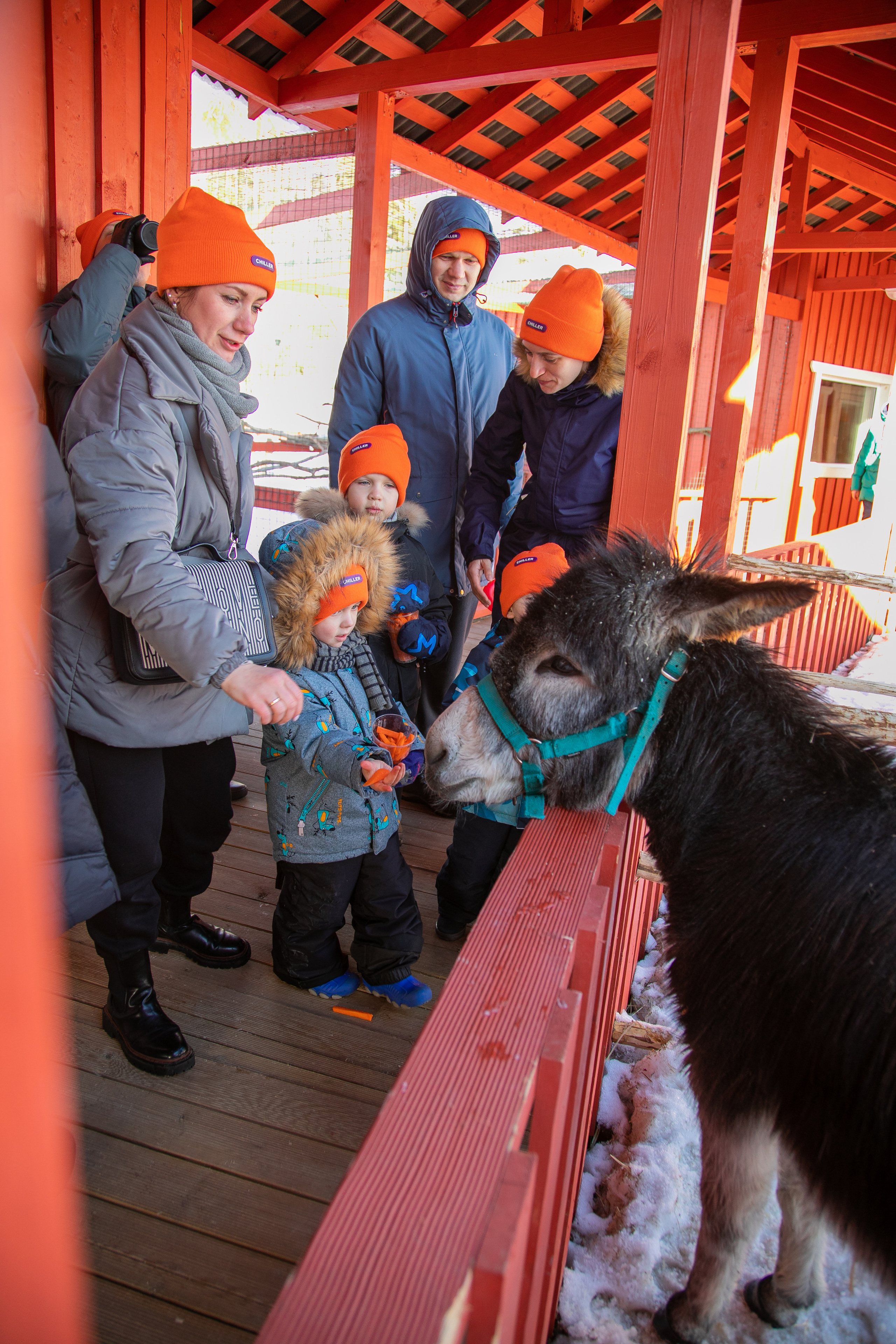 Корпоративная съемка.Разное. Семейный и детский фотограф