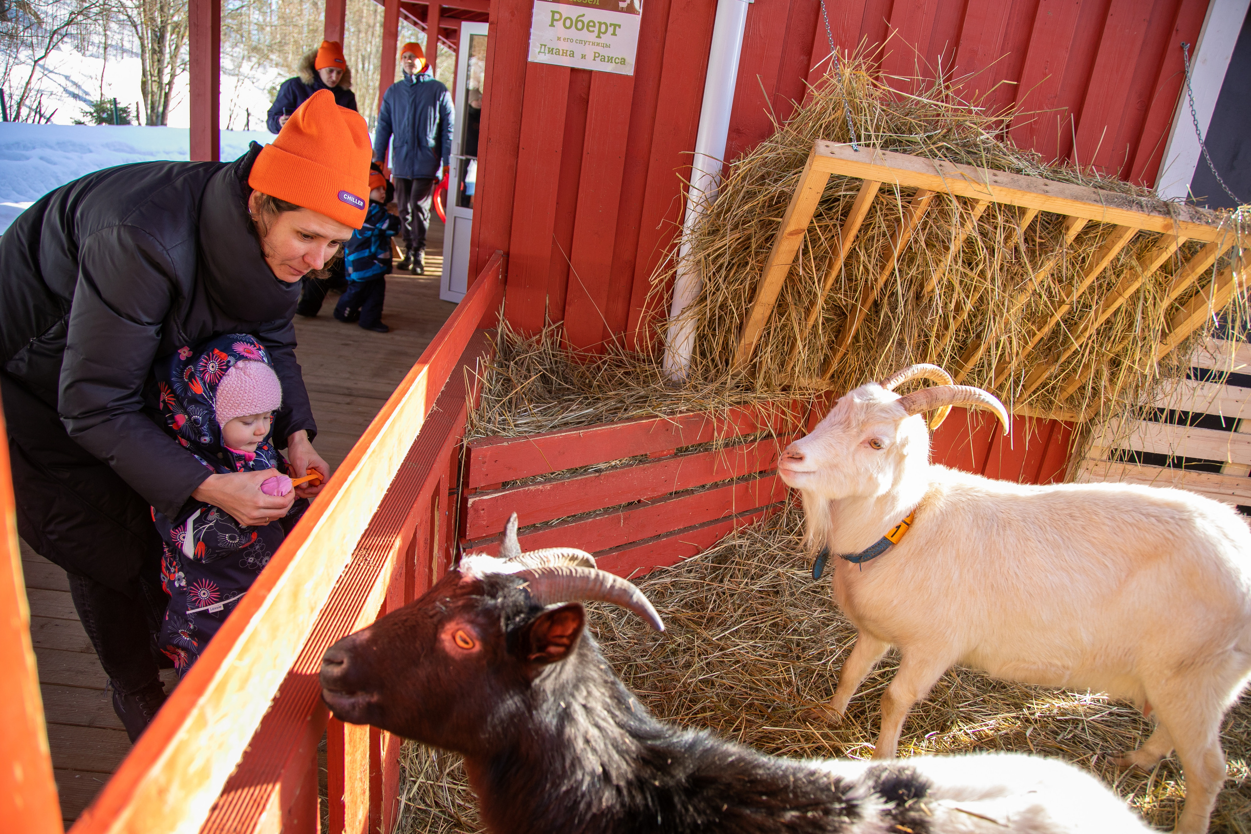 Корпоративная съемка.Разное. Семейный и детский фотограф
