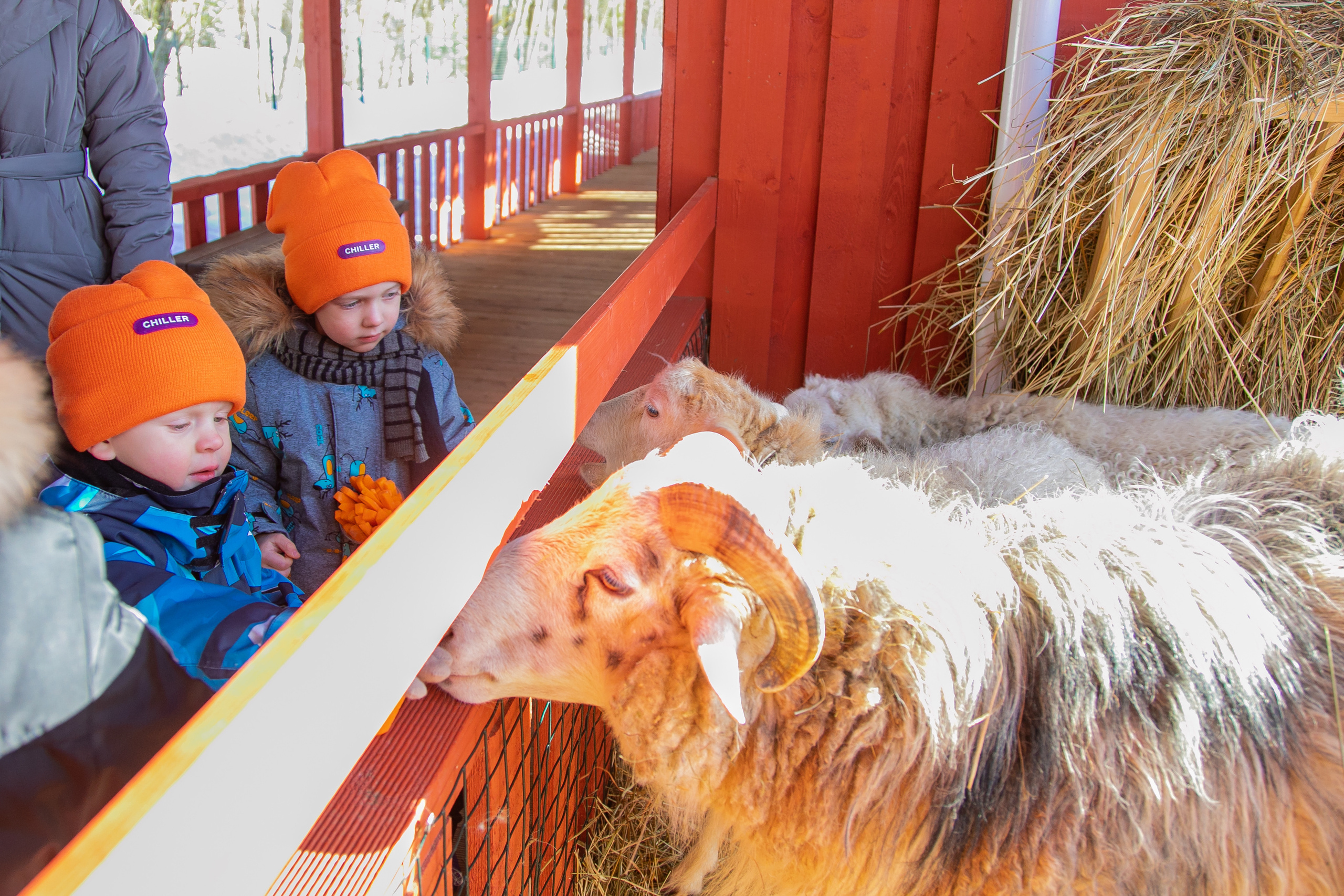 Корпоративная съемка.Разное. Семейный и детский фотограф