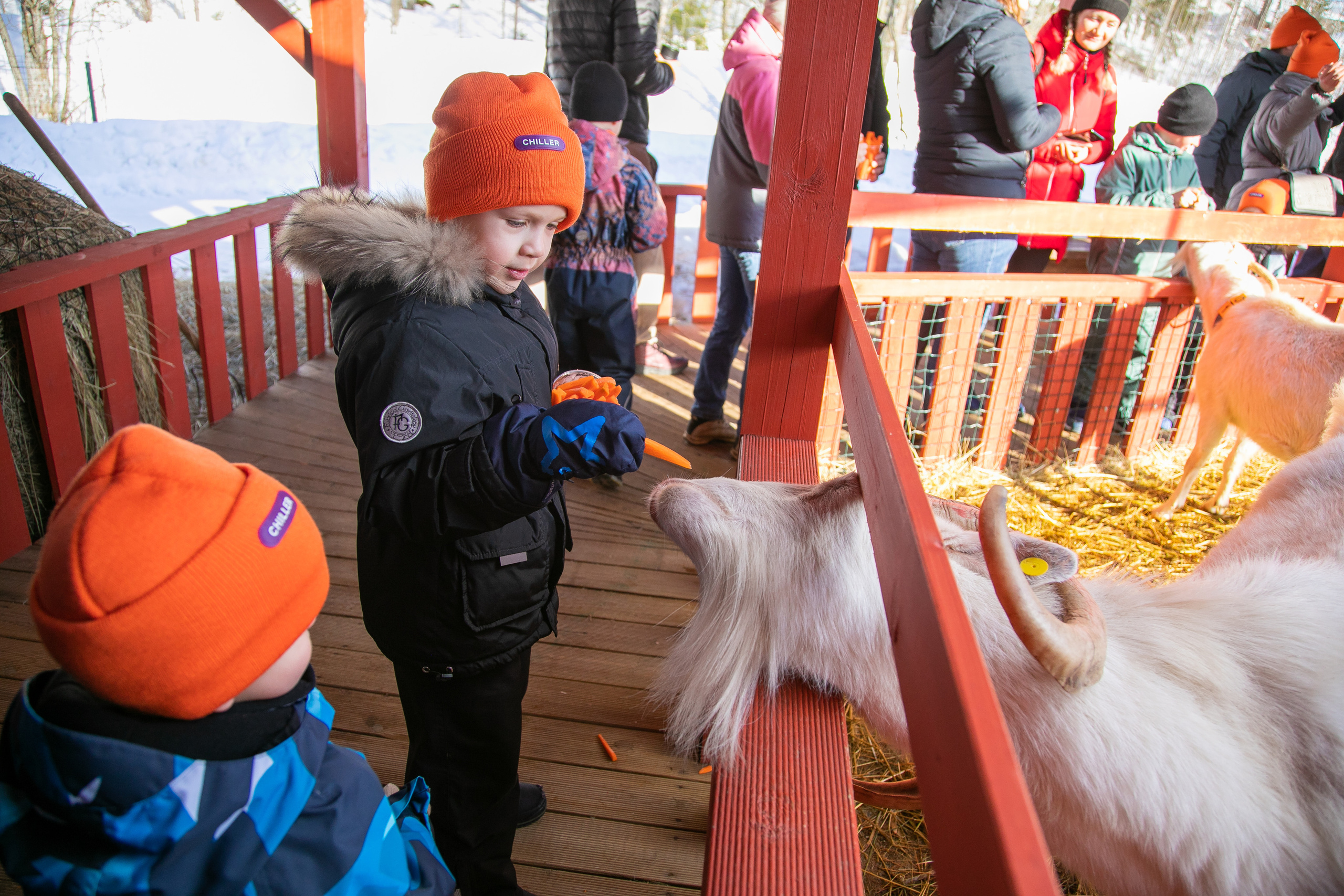 Корпоративная съемка.Разное. Семейный и детский фотограф