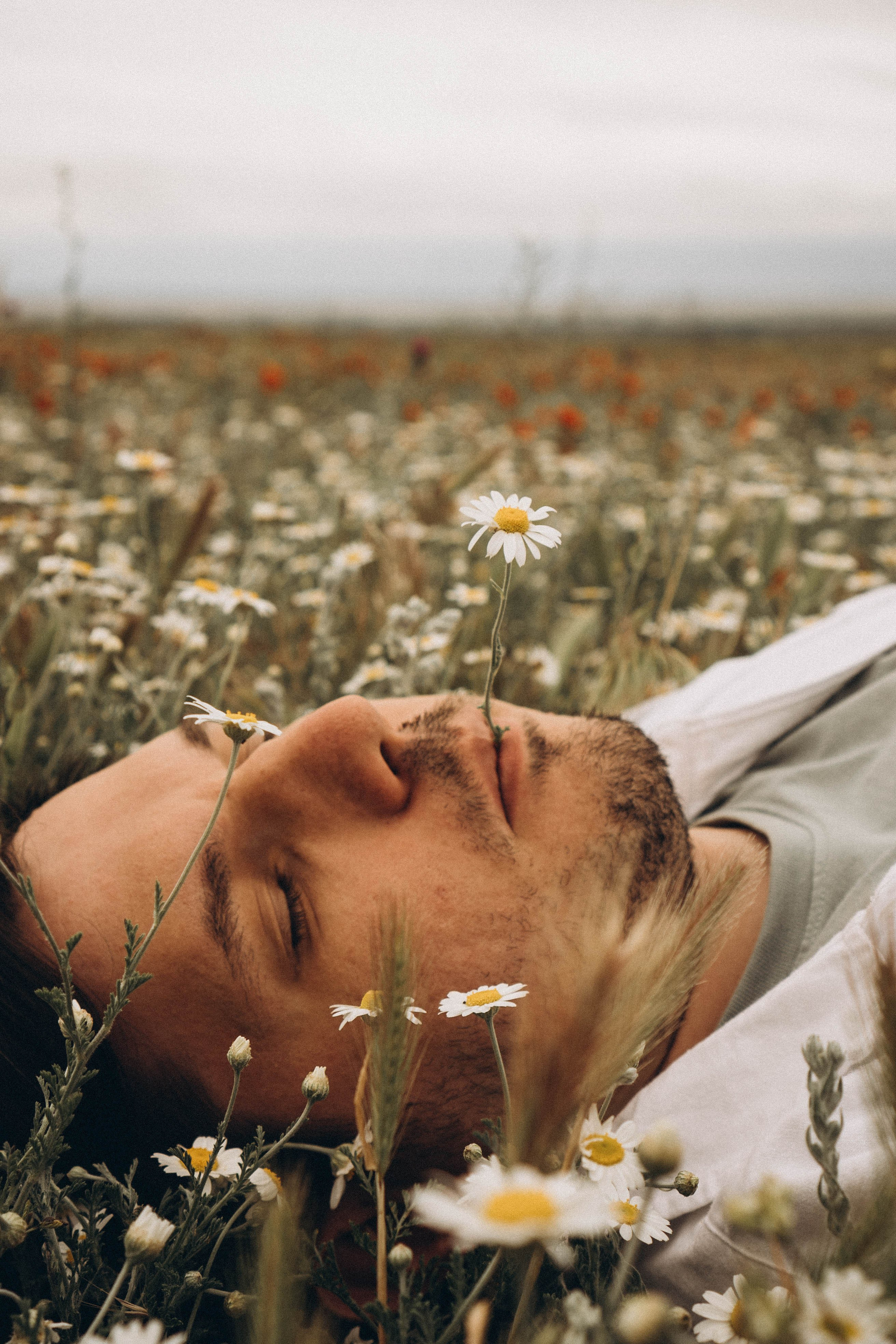 Маки. Профессиональный фотограф, Санкт-Петербург — Виктория Богомолова