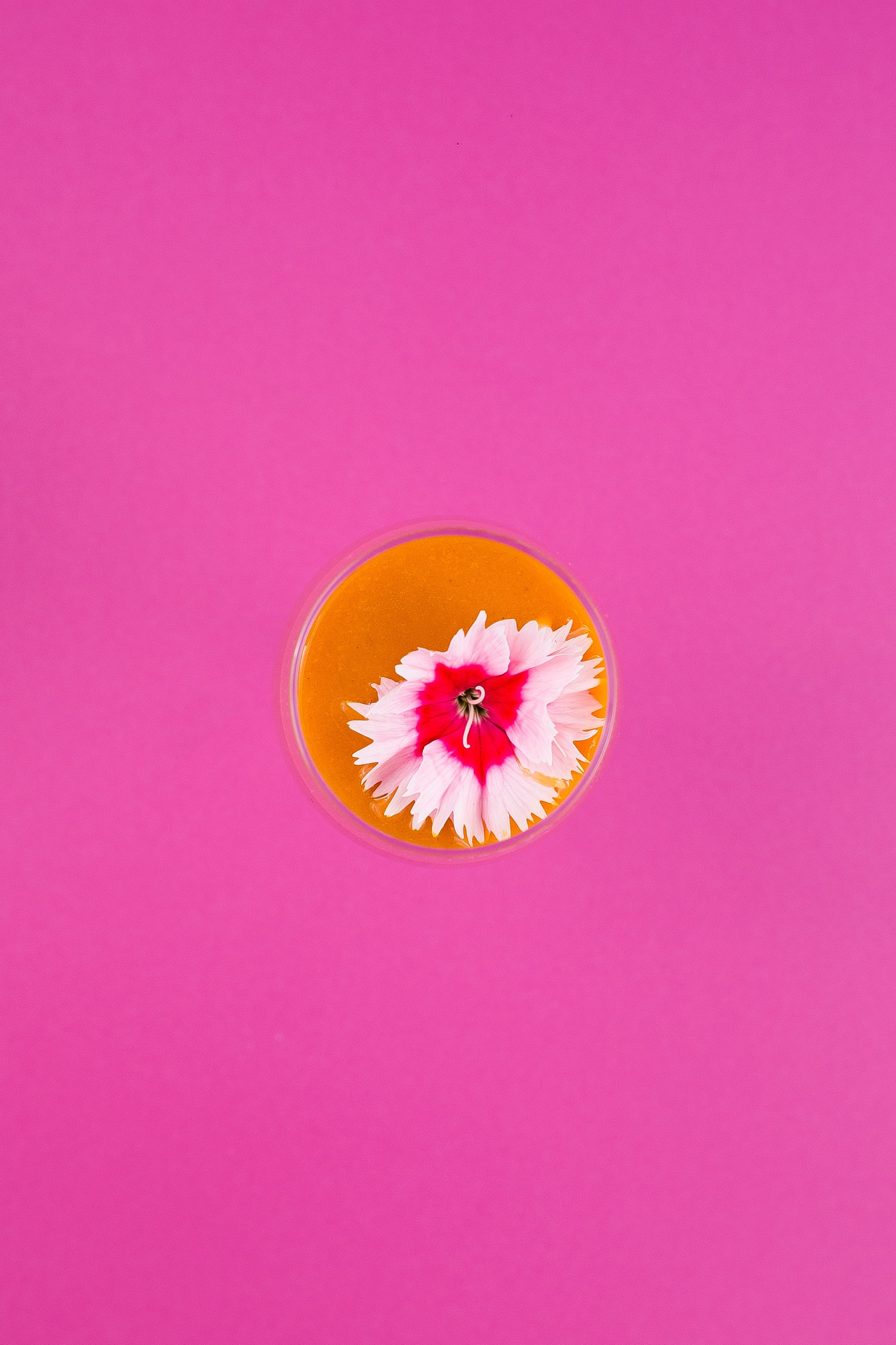 Organza. Главная