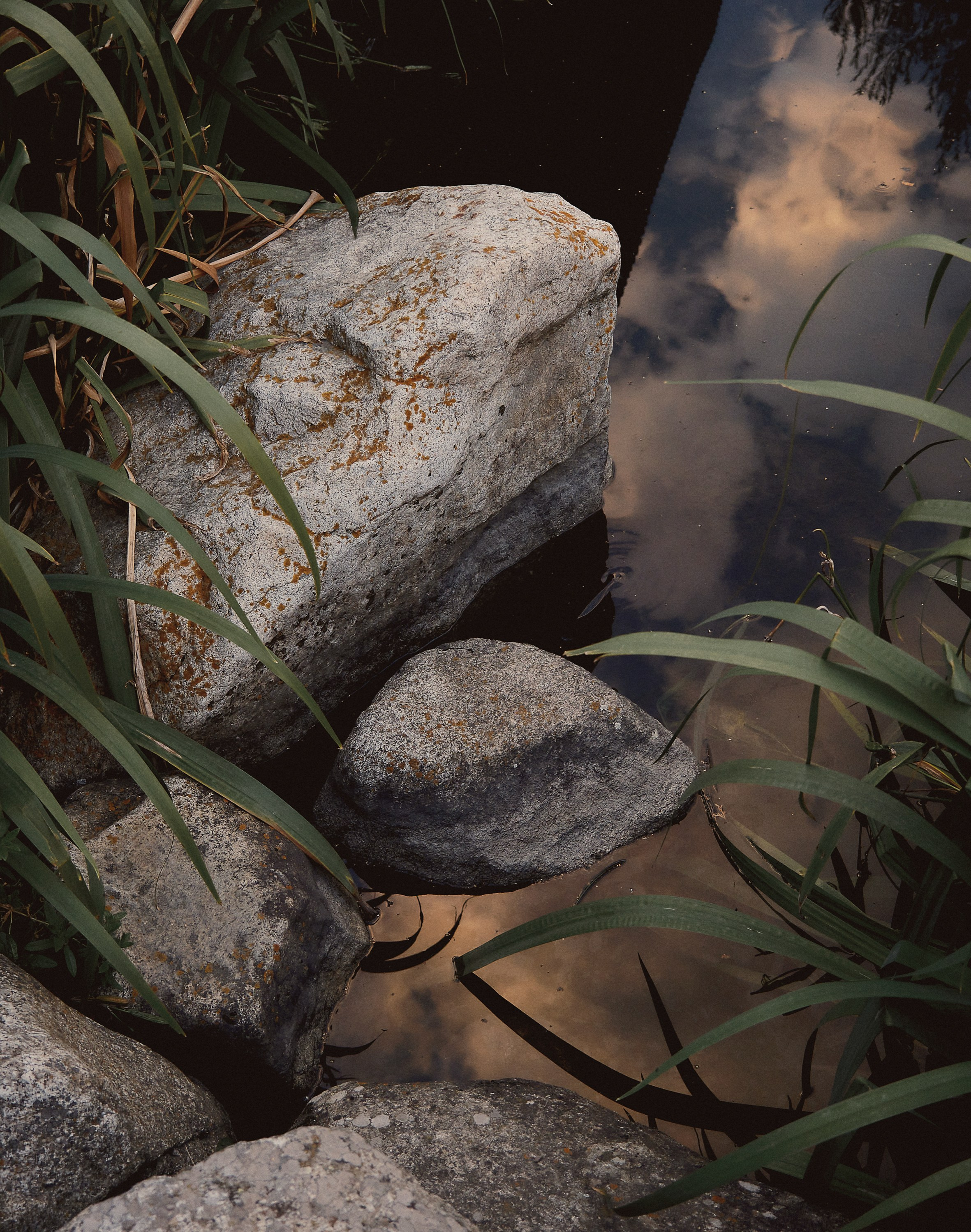 Даша и Игорь. Семейный и свадебный фотограф в Краснодаре
